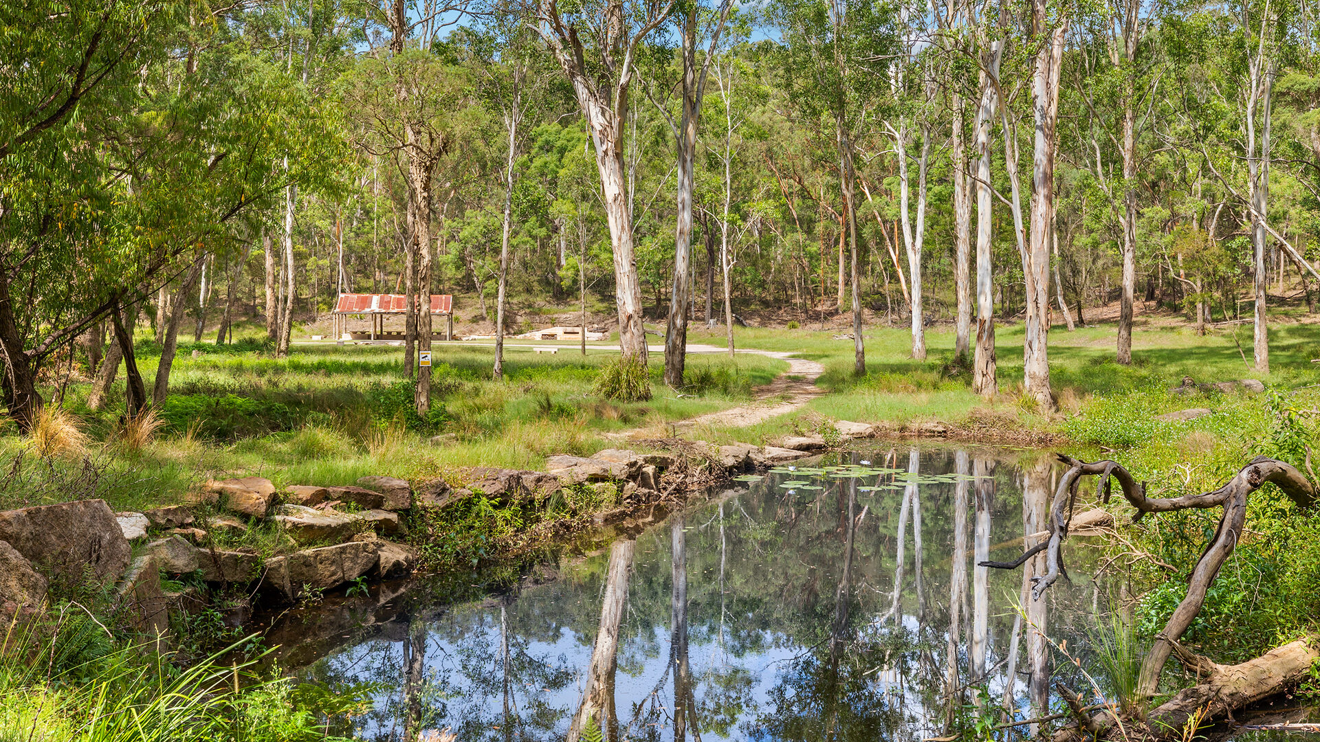 For Sale - 9 Bloodwood Place - New Property in Kenthurst - Real Estate by Louis Stapleton