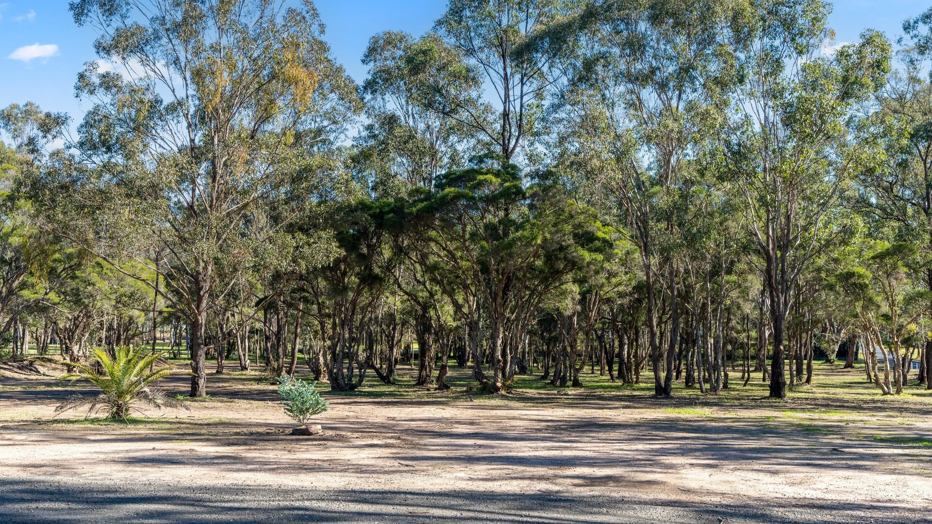For Sale - 36 Old Pitt Town Road - New Property in Pitt Town - Real Estate by Brett Humby