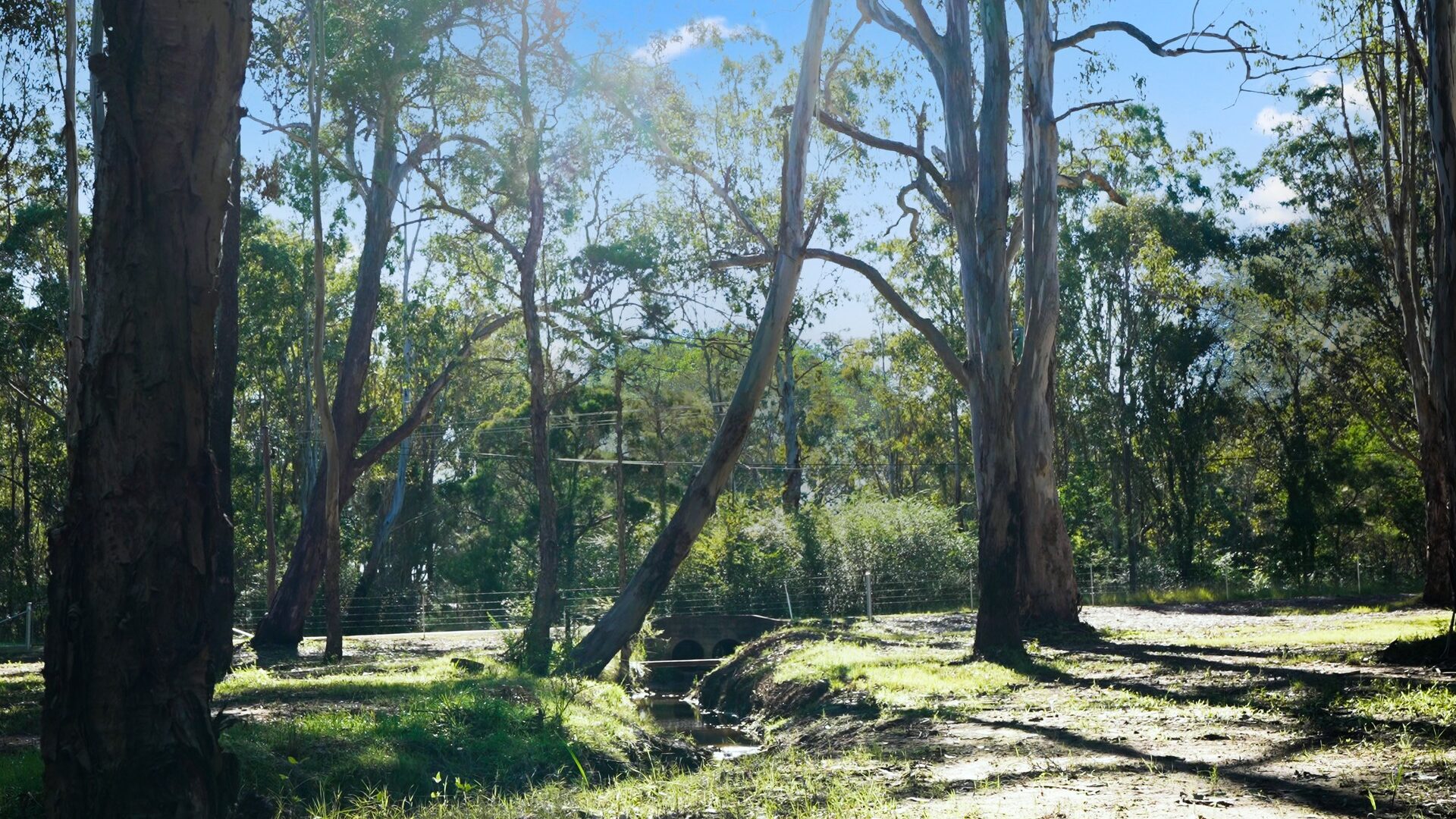 For Sale - 36 Old Pitt Town Road - New Property in Pitt Town - Real Estate by Brett Humby