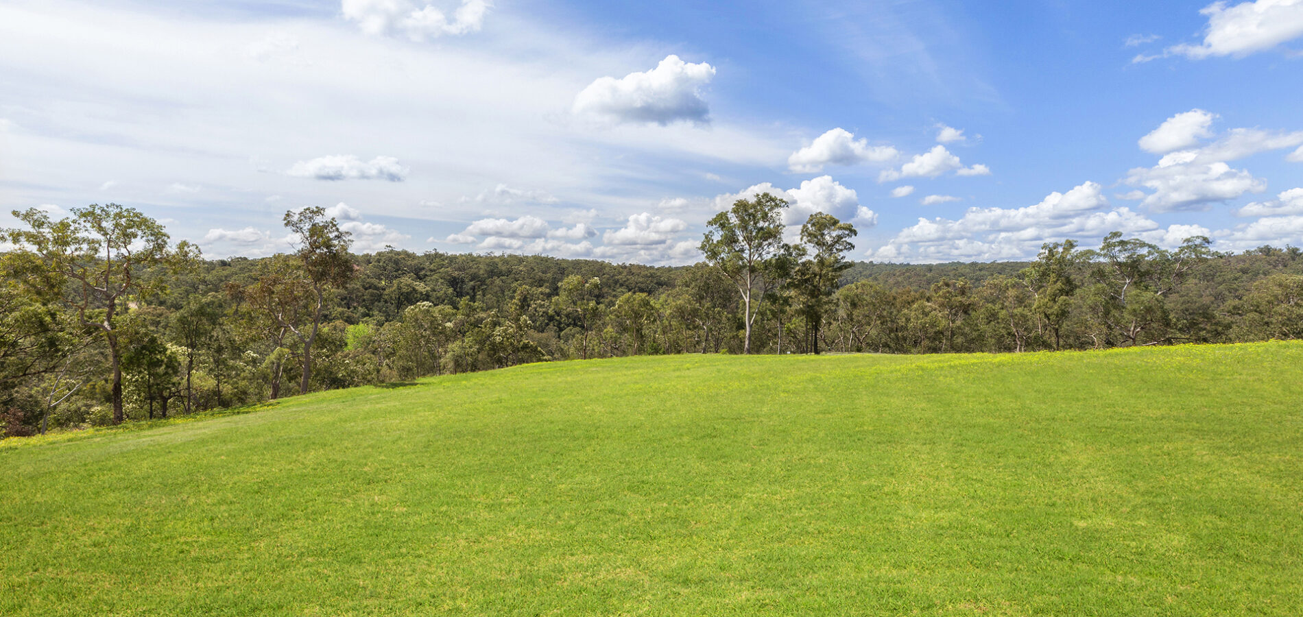 For Sale - 15 Bloodwood Place - New Property in Kenthurst - Real Estate by Louis Stapleton
