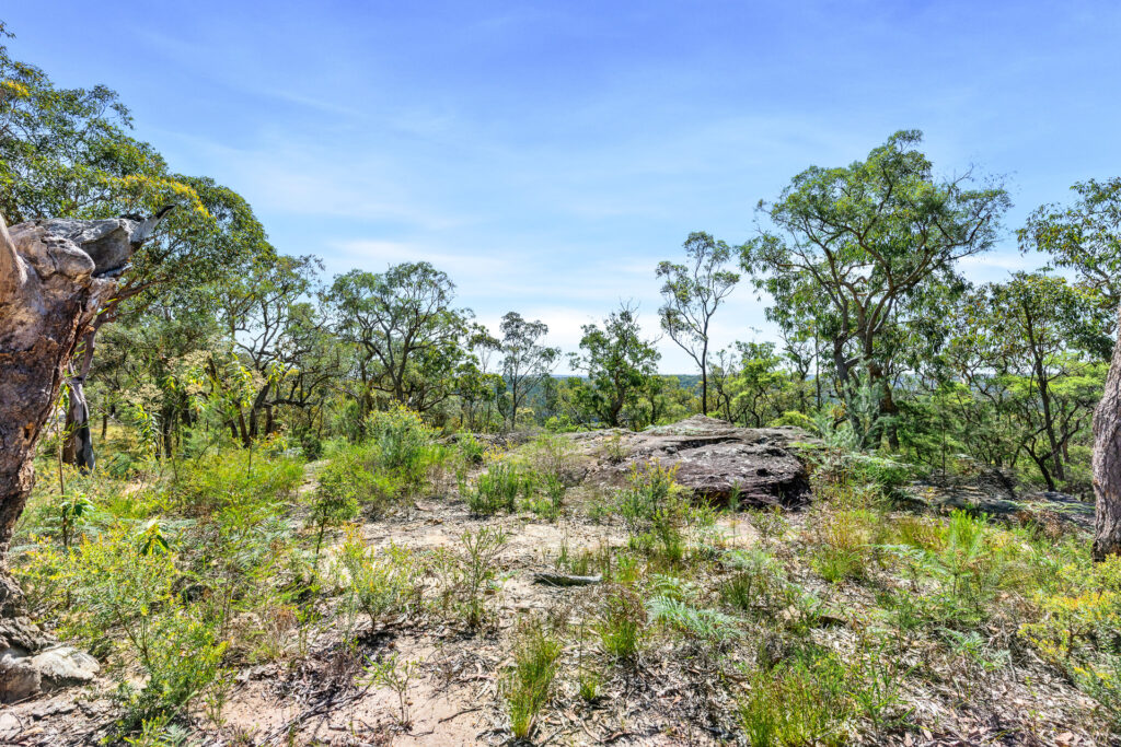 For Sale - 679 Cliftonville Road - New Property in Lower Portland - Real Estate by  