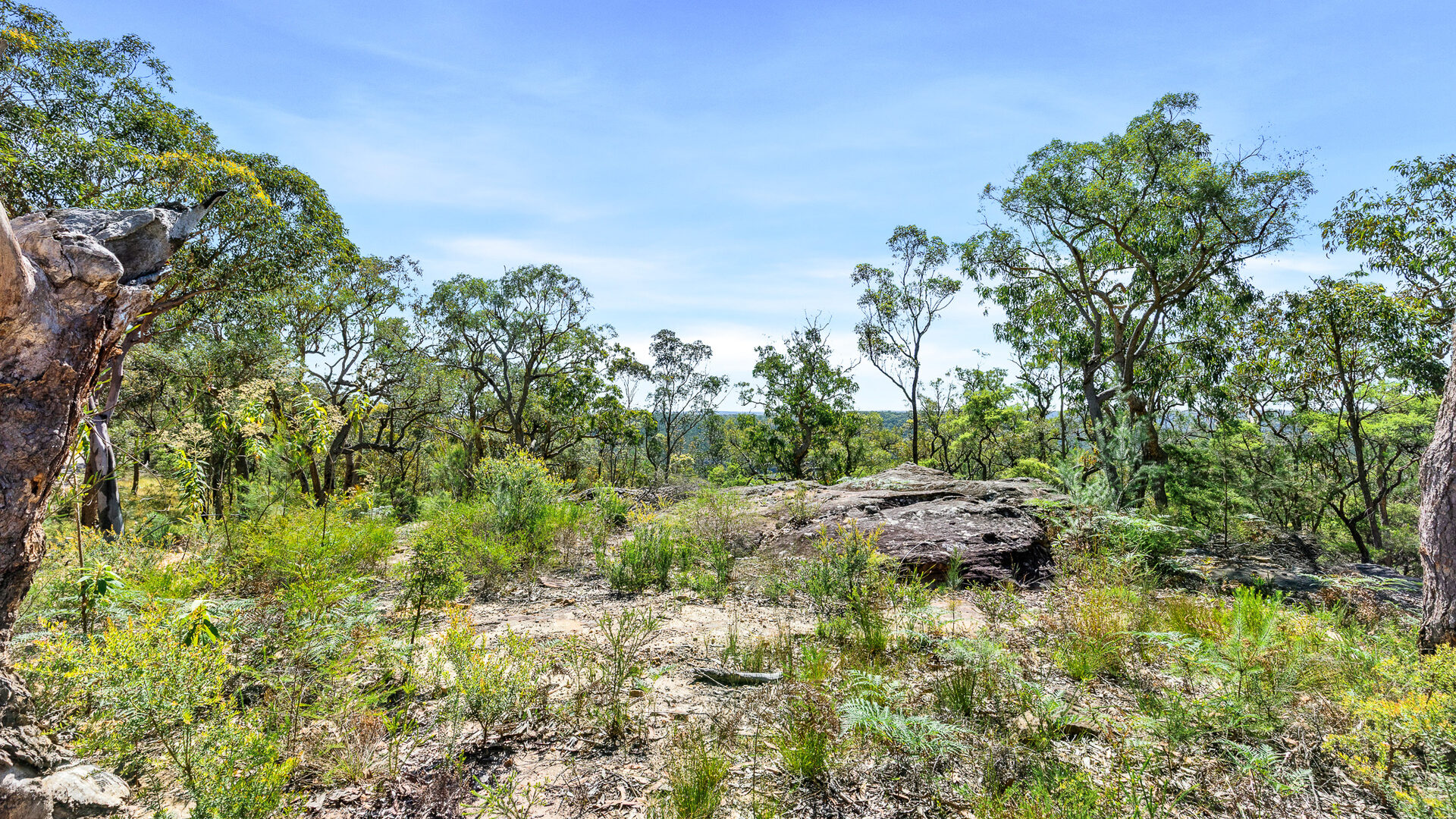 For Sale - 679 Cliftonville Road - New Property in Lower Portland - Real Estate by  
