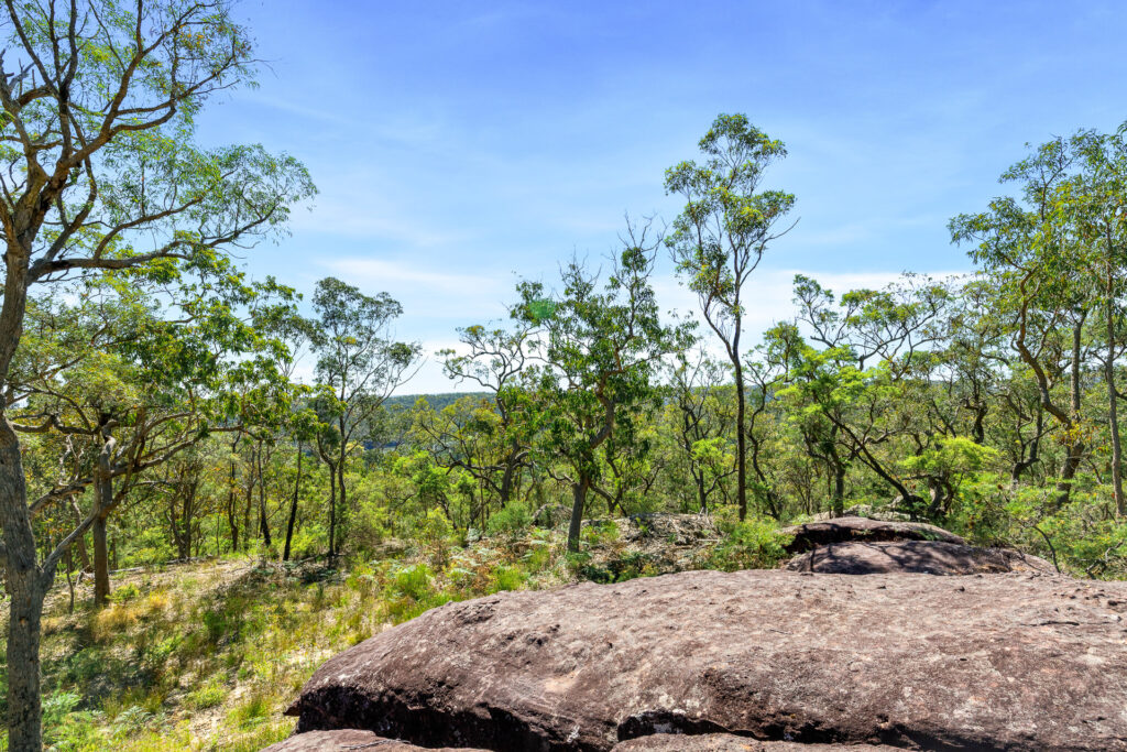 For Sale - 679 Cliftonville Road - New Property in Lower Portland - Real Estate by  