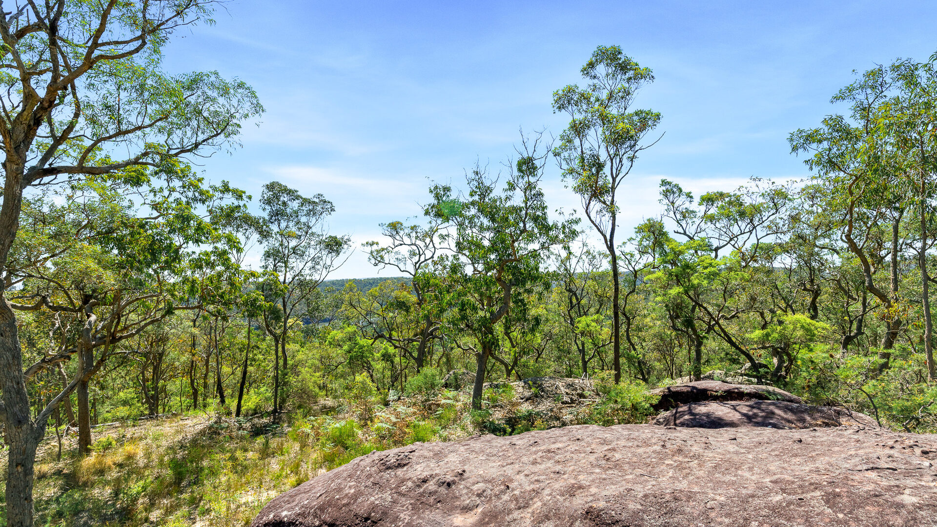 For Sale - 679 Cliftonville Road - New Property in Lower Portland - Real Estate by  
