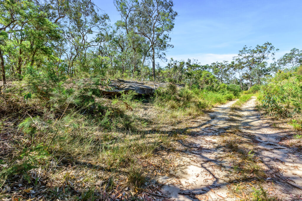 For Sale - 679 Cliftonville Road - New Property in Lower Portland - Real Estate by  