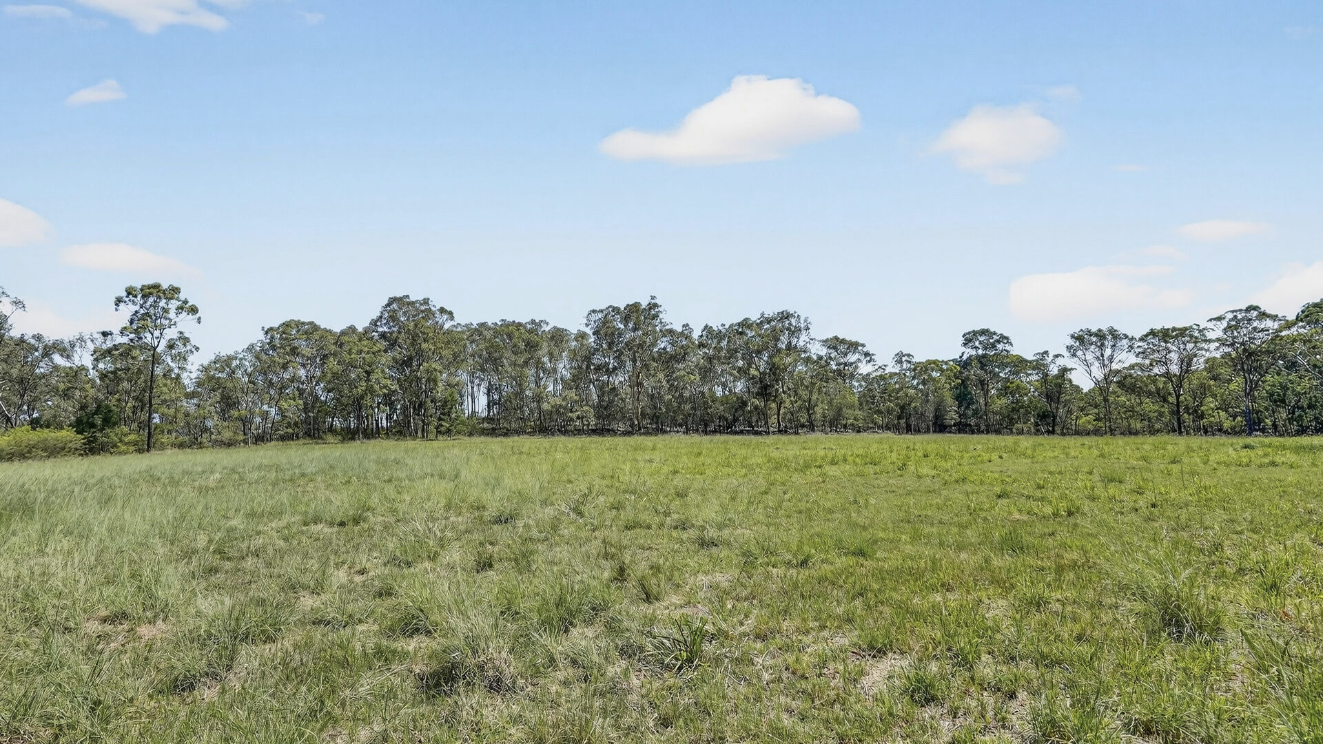 Auction - 32 Willow Brook Place - New Property in Tennyson - Real Estate by Greg Vincent
