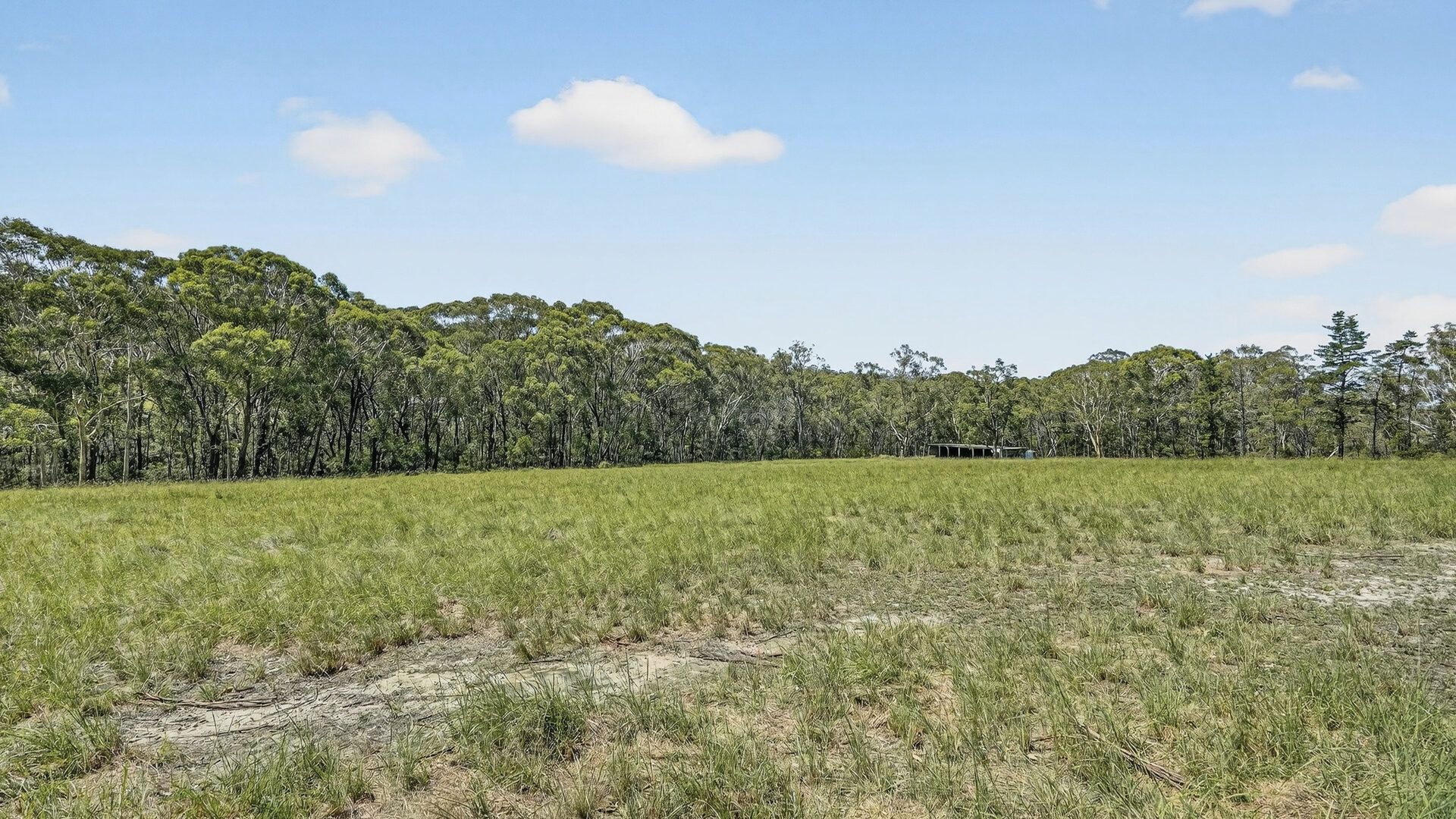 Auction - 32 Willow Brook Place - New Property in Tennyson - Real Estate by Greg Vincent