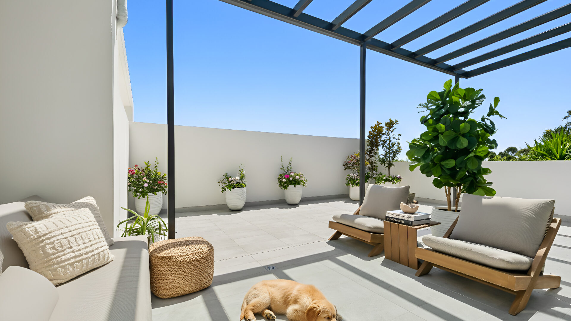 Sold - 41/17 Moseley Street - New Property in Carlingford - Real Estate by Teena Vaughan