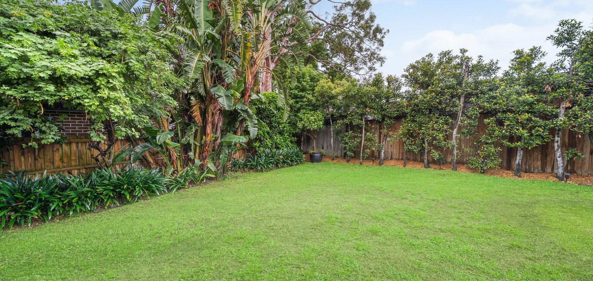Sold - 41 Clanwilliam Street - New Property in Eastwood - Real Estate by Teena Vaughan