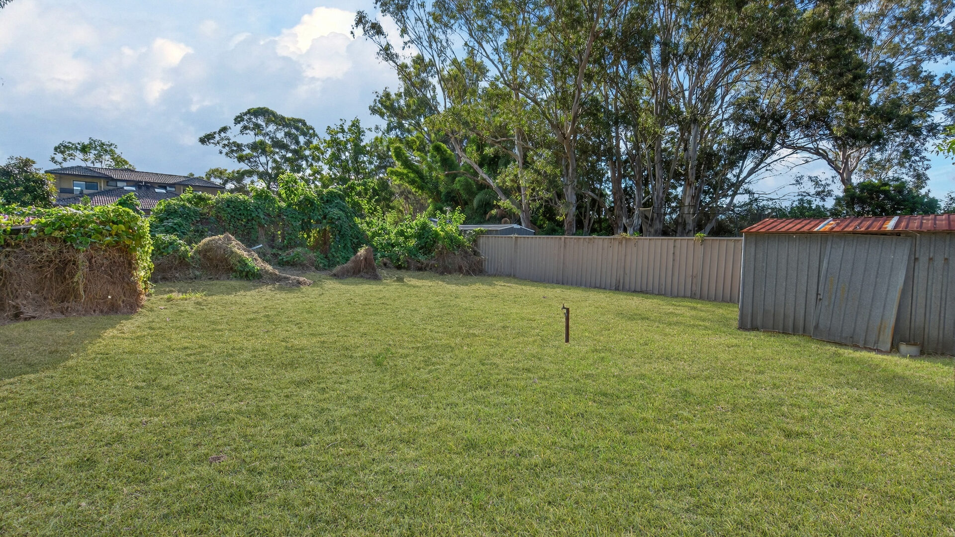 Auction - 42 Budgeree Road - New Property in Toongabbie - Real Estate by Brad Panayiotou
