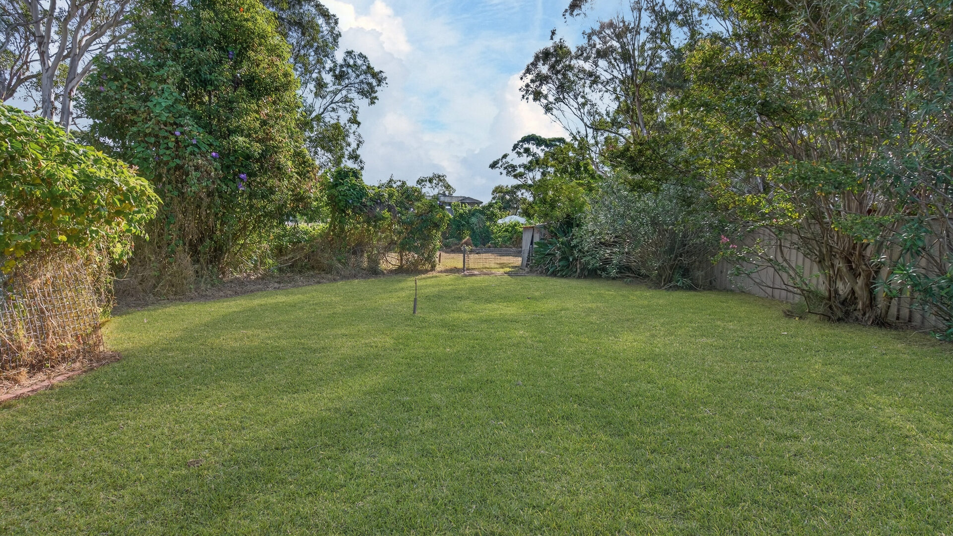 Auction - 42 Budgeree Road - New Property in Toongabbie - Real Estate by Brad Panayiotou