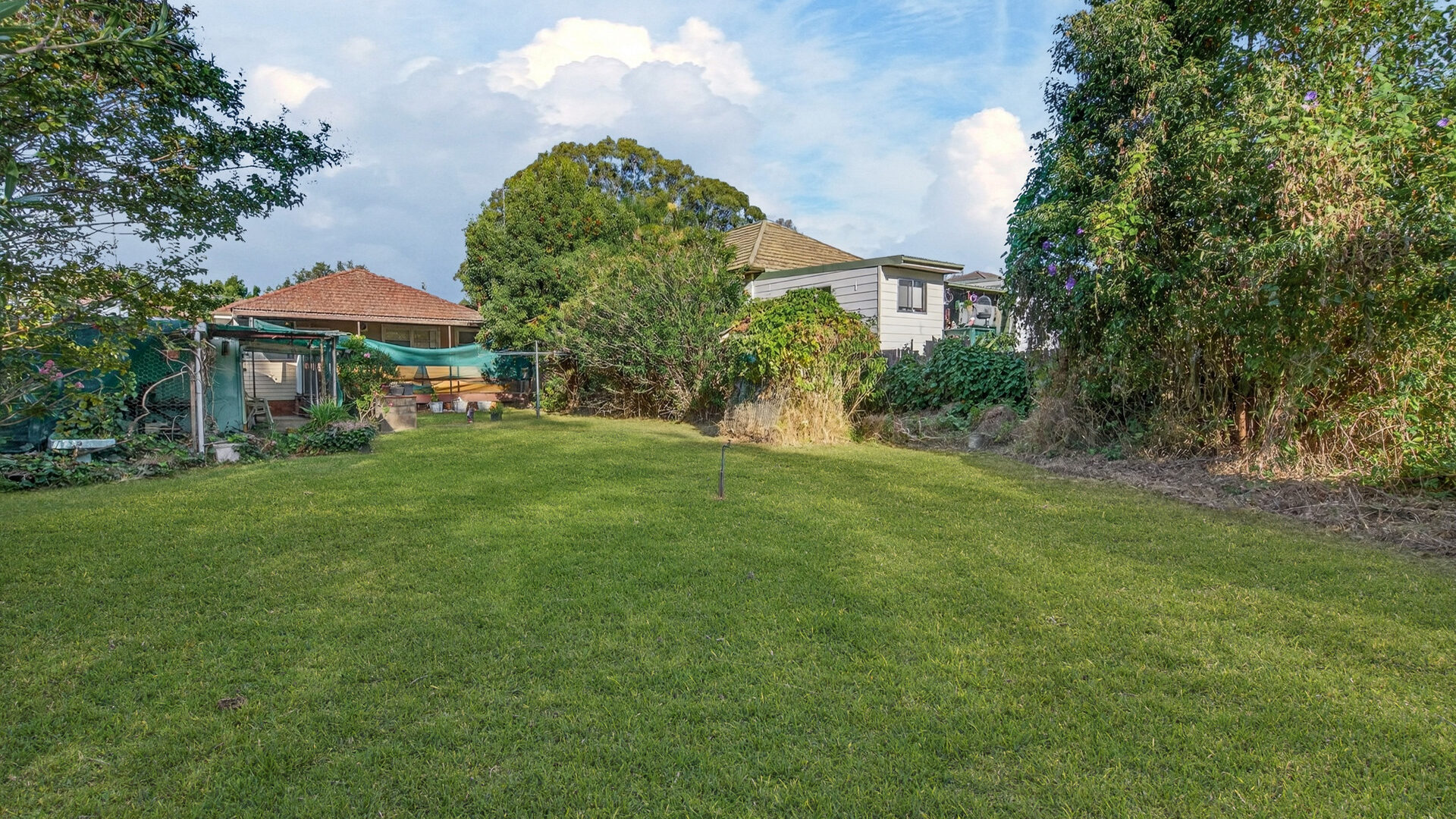 Auction - 42 Budgeree Road - New Property in Toongabbie - Real Estate by Brad Panayiotou