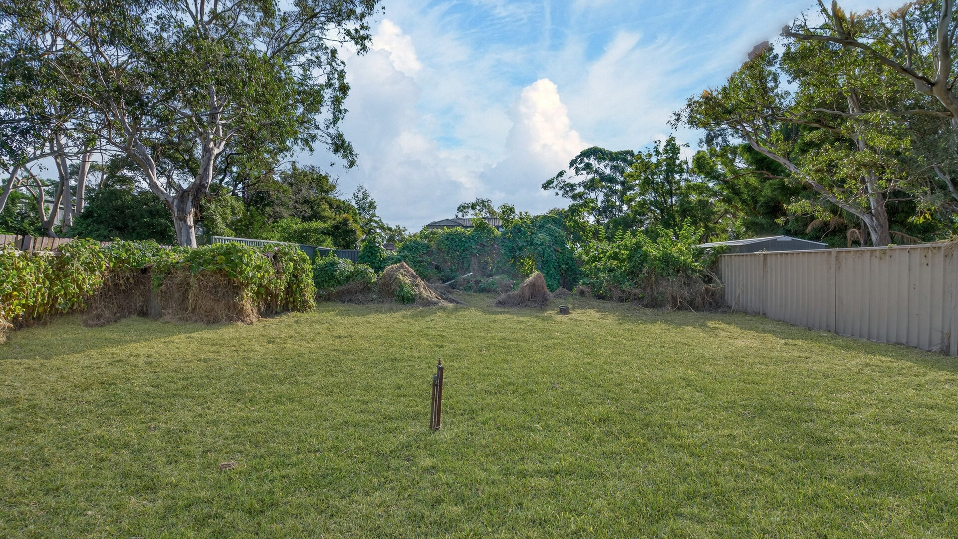 Auction - 42 Budgeree Road - New Property in Toongabbie - Real Estate by Brad Panayiotou