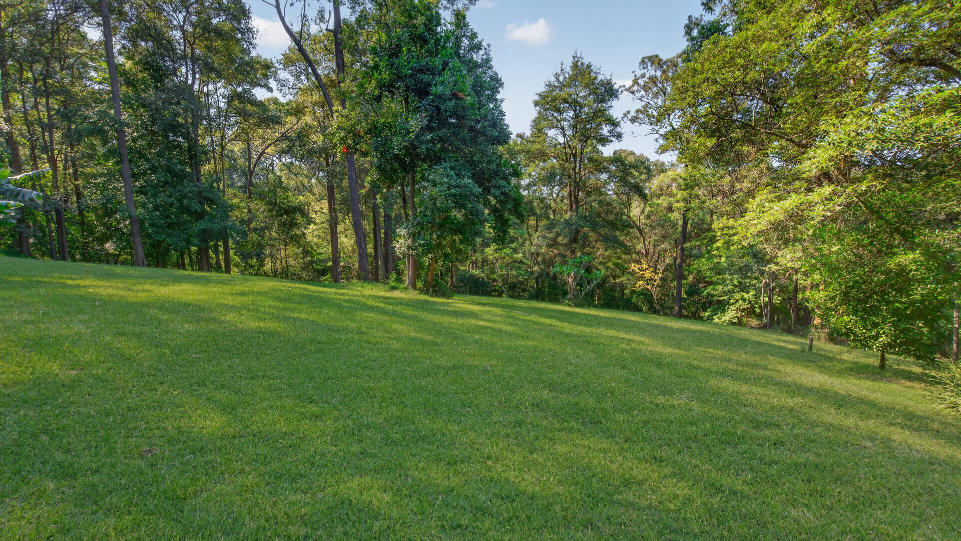 For Sale - 91 Serpentine Lane - New Property in Bowen Mountain - Real Estate by Greg Vincent