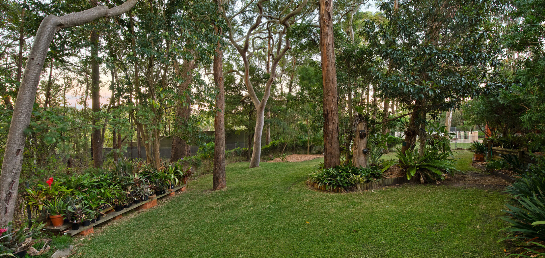 Sold - 41 Williams Road - New Property in North Rocks - Real Estate by Jamie Benjamin
