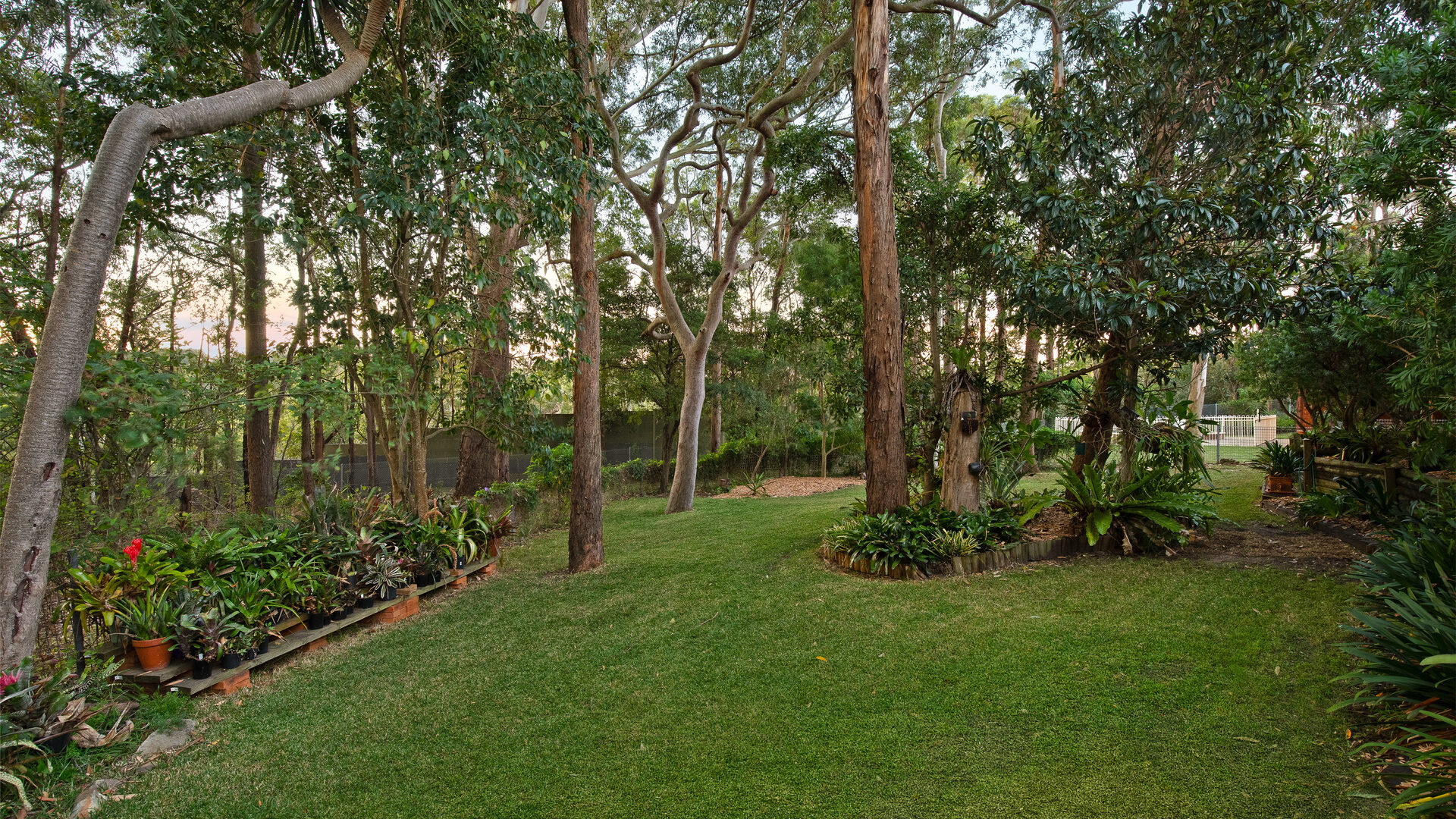 Sold - 41 Williams Road - New Property in North Rocks - Real Estate by Jamie Benjamin