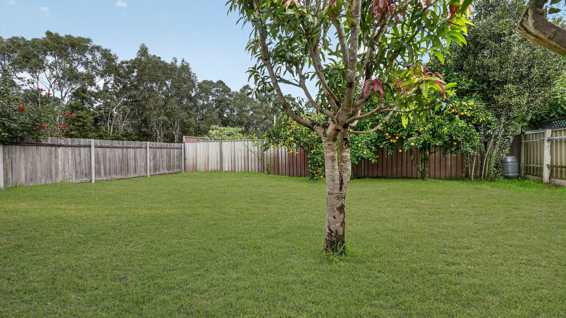 Auction - 1 Harris Road - New Property in Constitution Hill - Real Estate by Brad Panayiotou