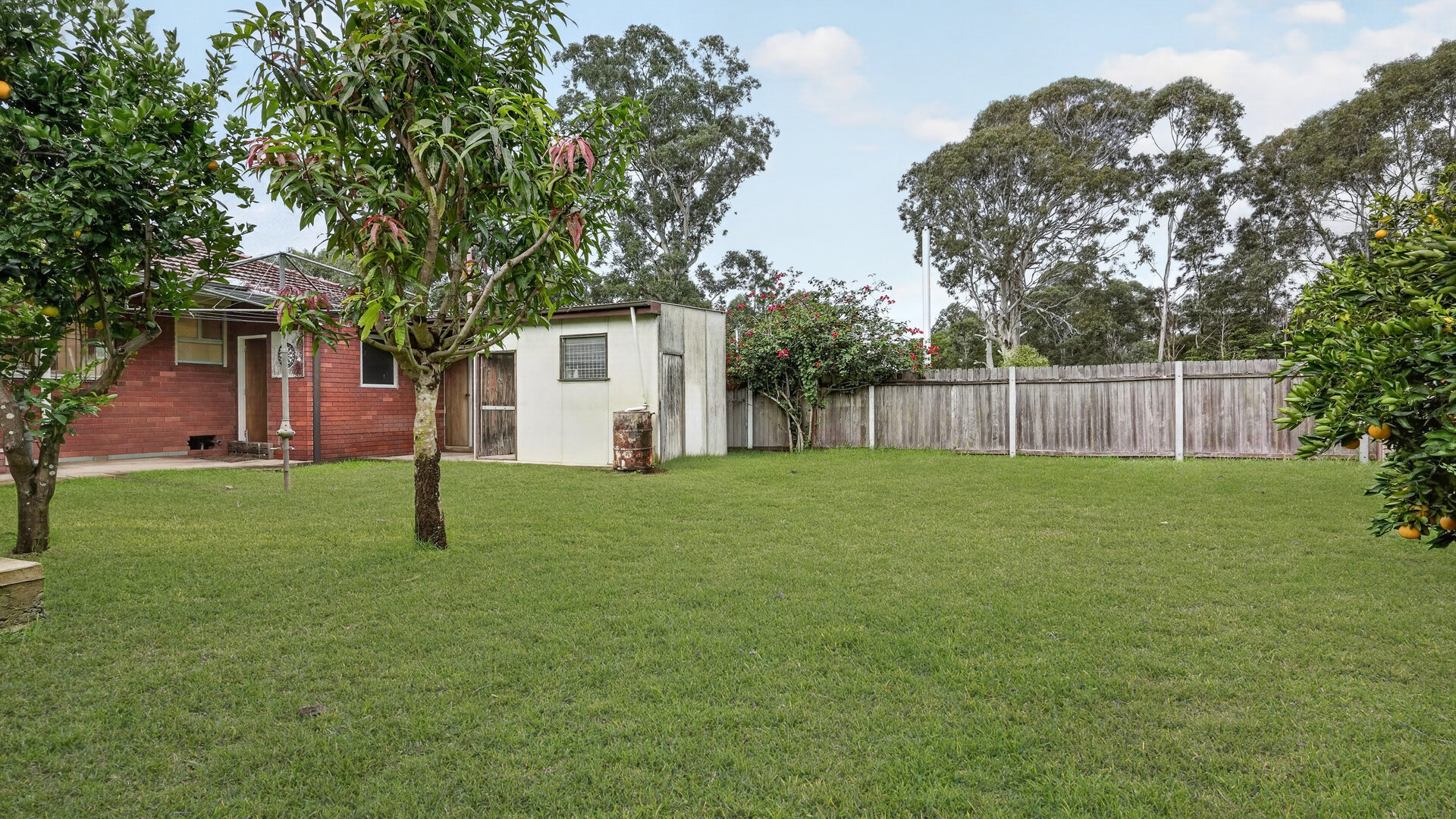 Auction - 1 Harris Road - New Property in Constitution Hill - Real Estate by Brad Panayiotou