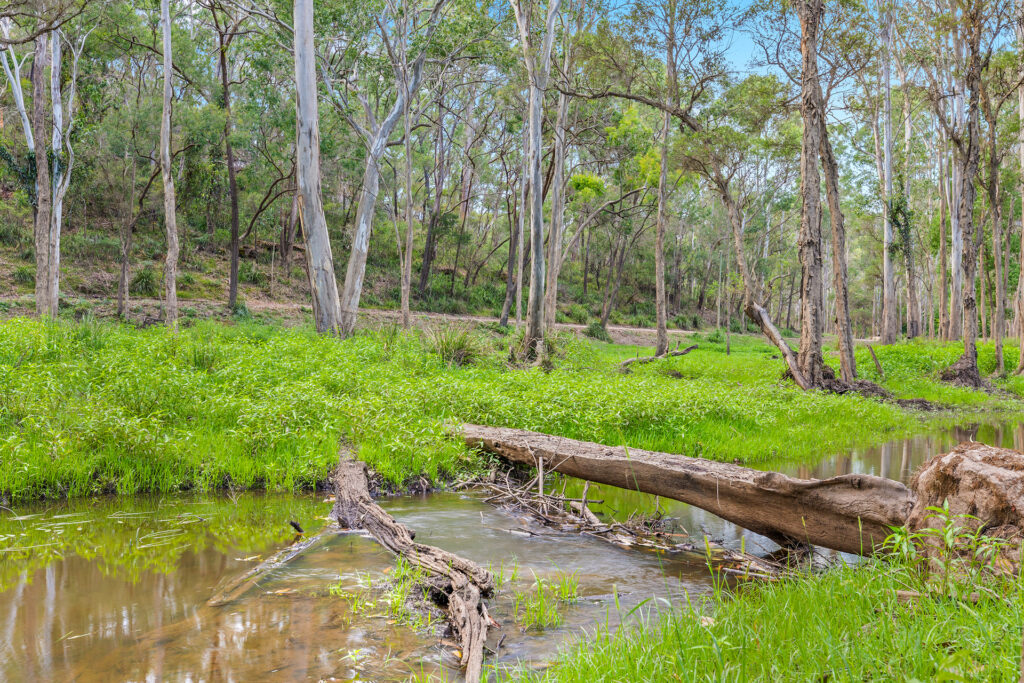 For Sale - 9 Bloodwood Place - New Property in Kenthurst - Real Estate by Louis Stapleton