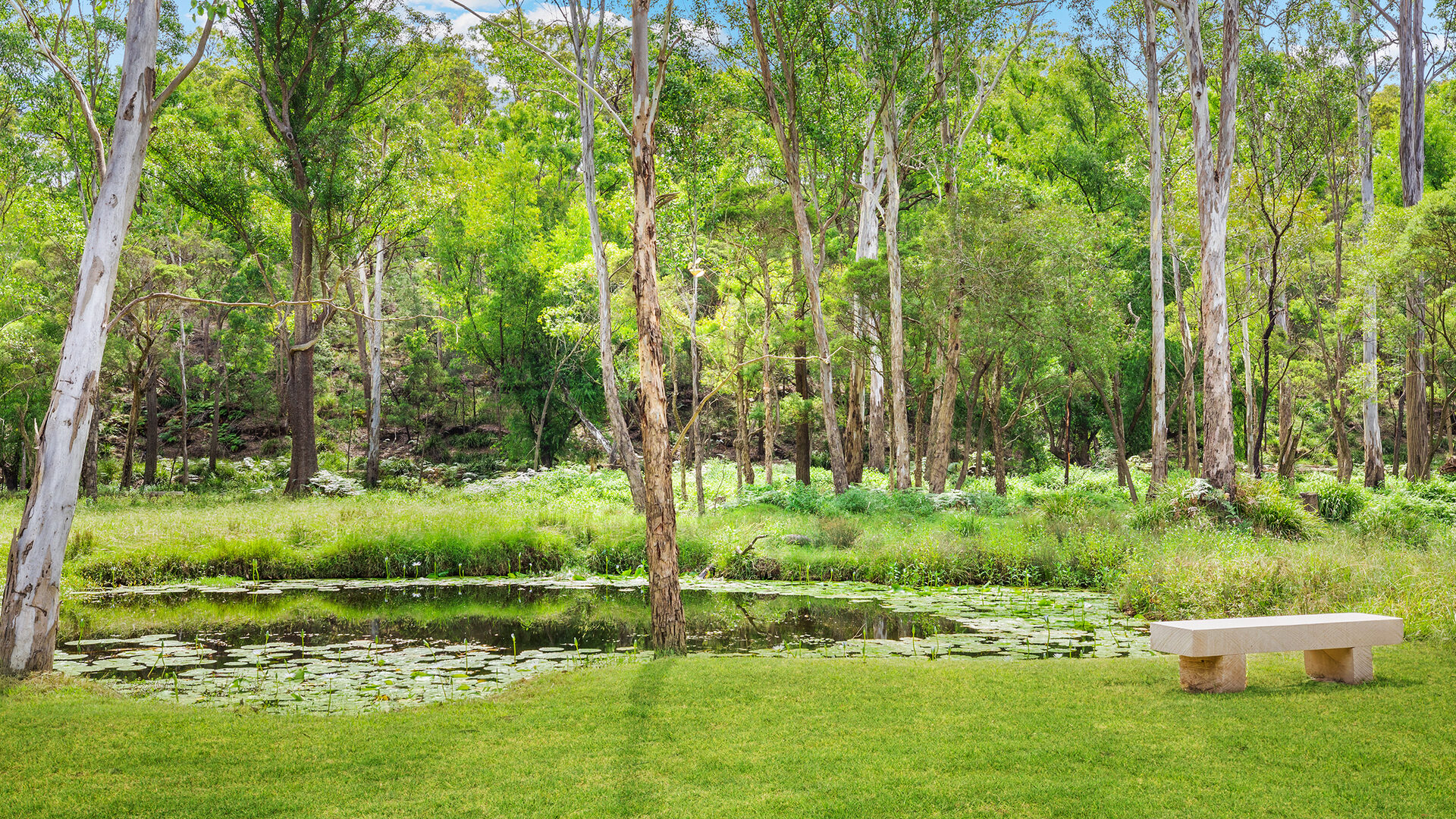 For Sale - 9 Bloodwood Place - New Property in Kenthurst - Real Estate by Louis Stapleton