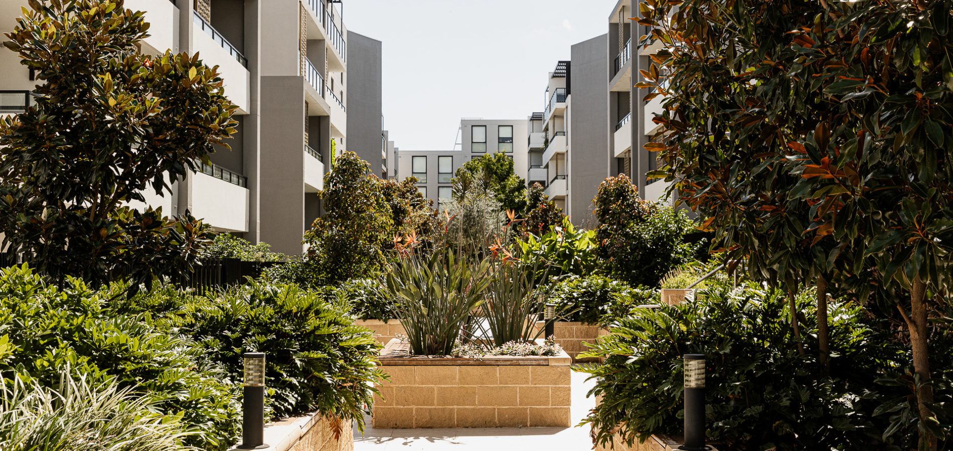 F1.401/23-27 Schofields Road, Tallawong