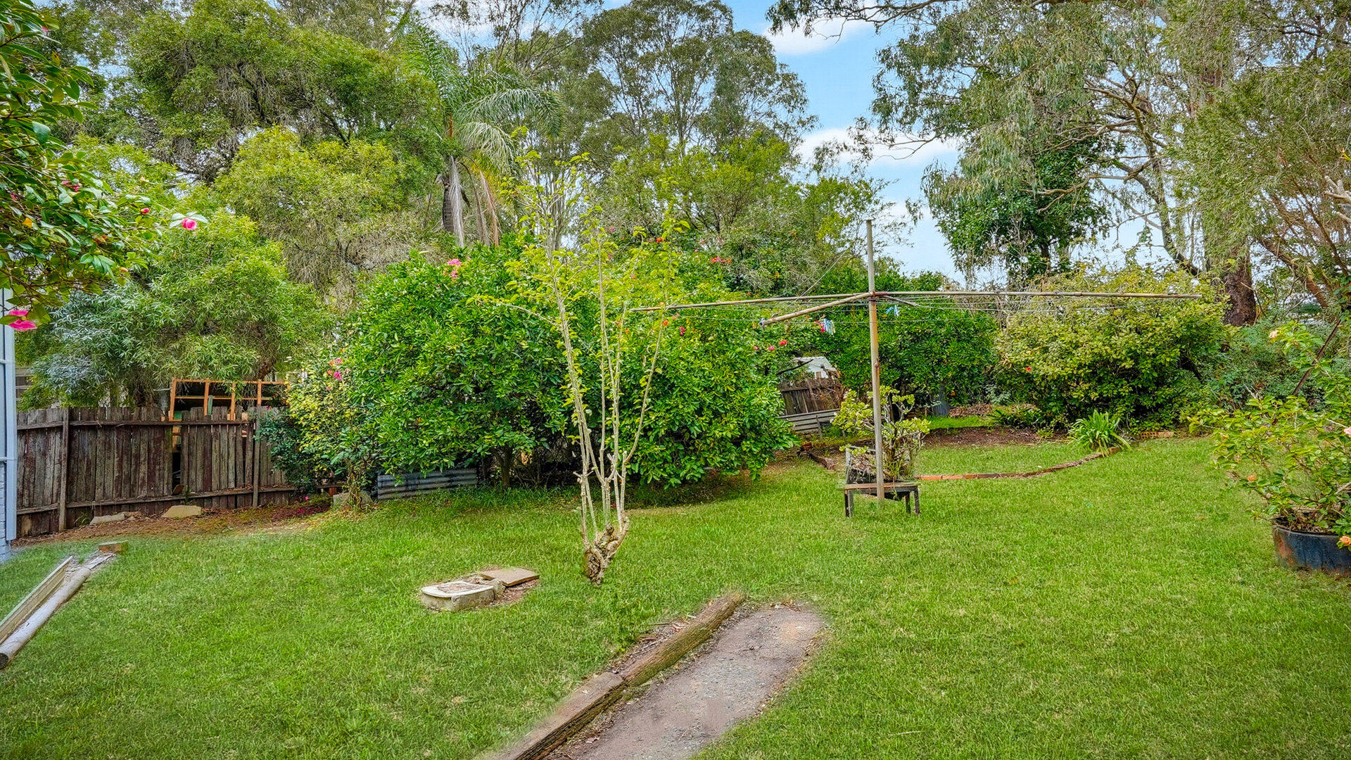 For Rent - 36 Valeria Street - New Property in Toongabbie - Real Estate by Matthew Elazzi