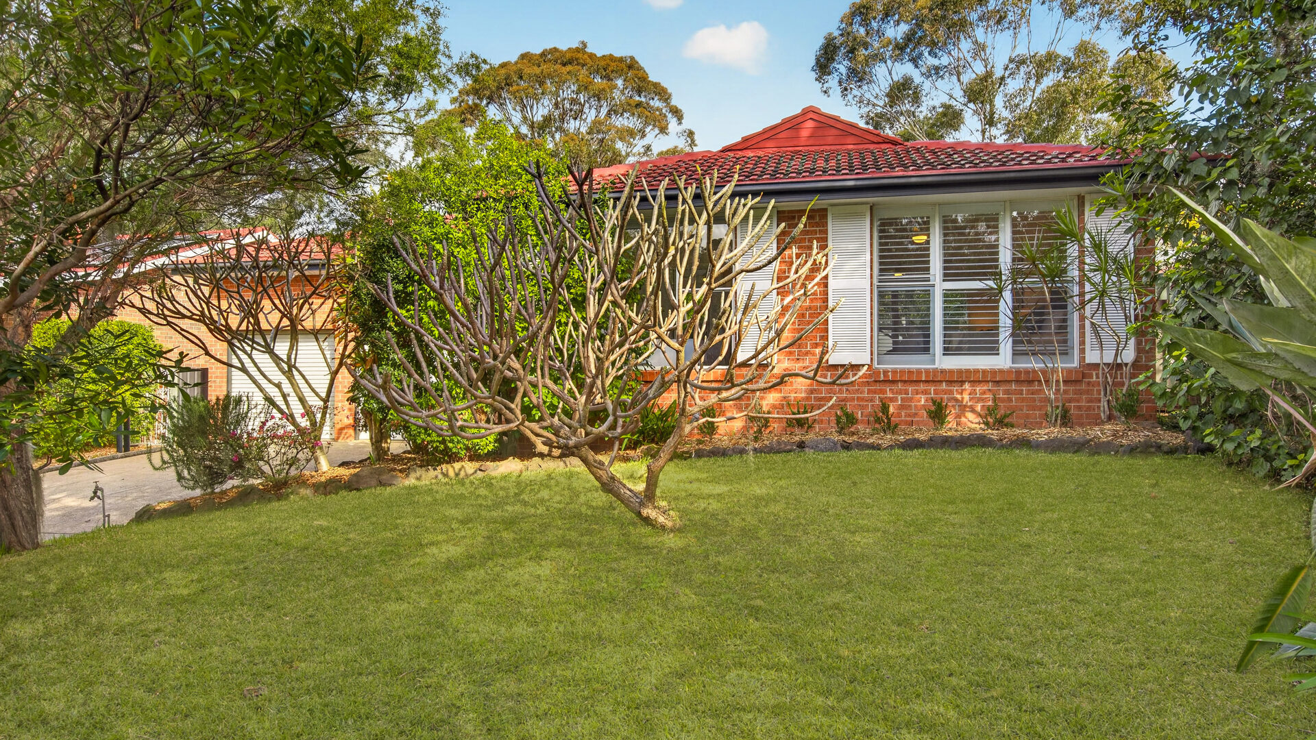 Auction - 16 Hodges Street - New Property in Kings Langley - Real Estate by Kim McChlery