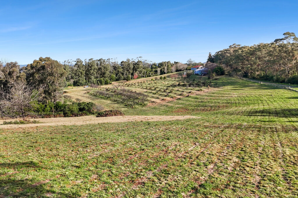 For Sale - 2861 Bells Line of Road - New Property in Bilpin - Real Estate by Ziggy Parsonson
