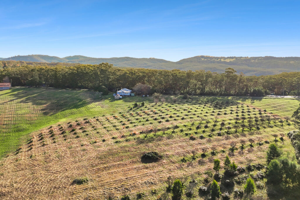 For Sale - 2861 Bells Line of Road - New Property in Bilpin - Real Estate by Ziggy Parsonson