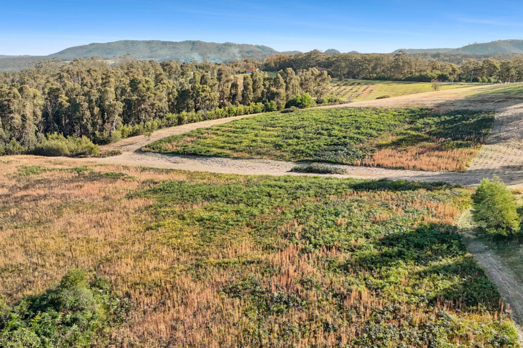 For Sale - 2861 Bells Line of Road - New Property in Bilpin - Real Estate by Ziggy Parsonson
