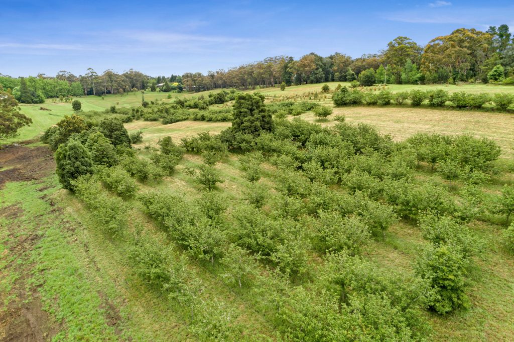 For Sale - 3068 Bells Line of Road - New Property in Bilpin - Real Estate by Ziggy Parsonson