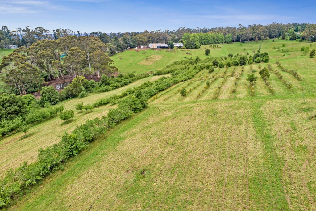 For Sale - 3068 Bells Line of Road - New Property in Bilpin - Real Estate by Ziggy Parsonson