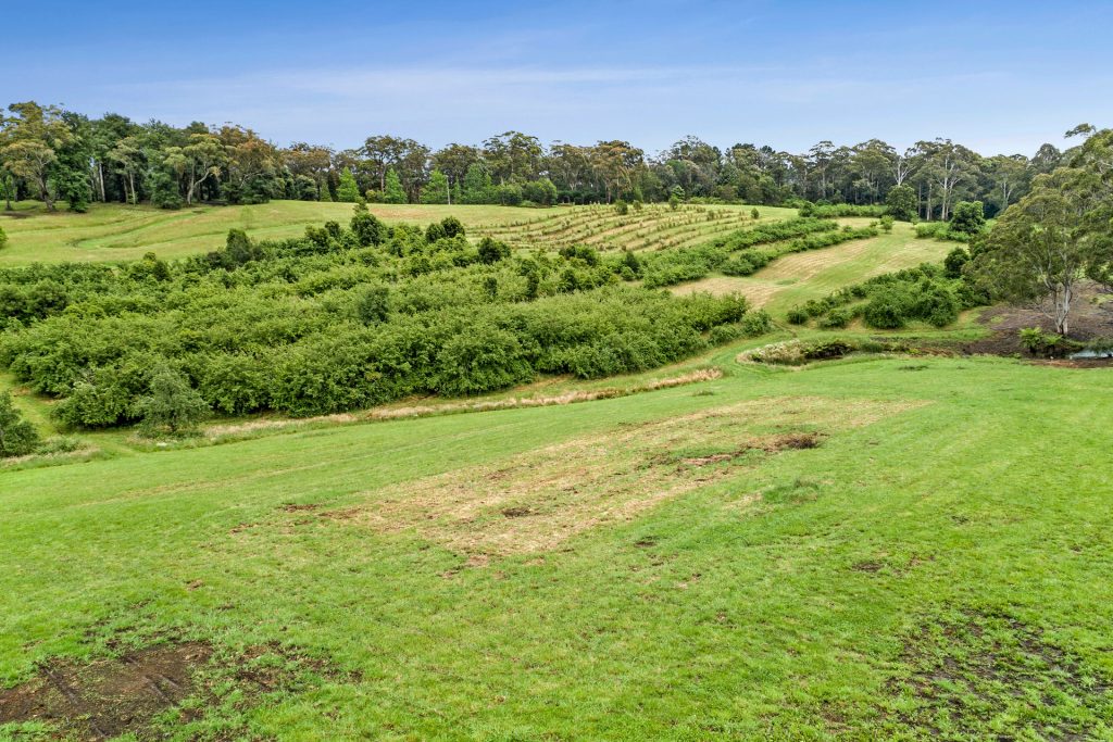 For Sale - 3068 Bells Line of Road - New Property in Bilpin - Real Estate by Ziggy Parsonson
