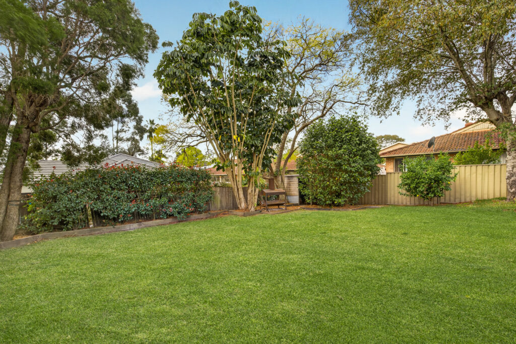 Auction - 11 Mount Street - New Property in Constitution Hill - Real Estate by Brad Panayiotou