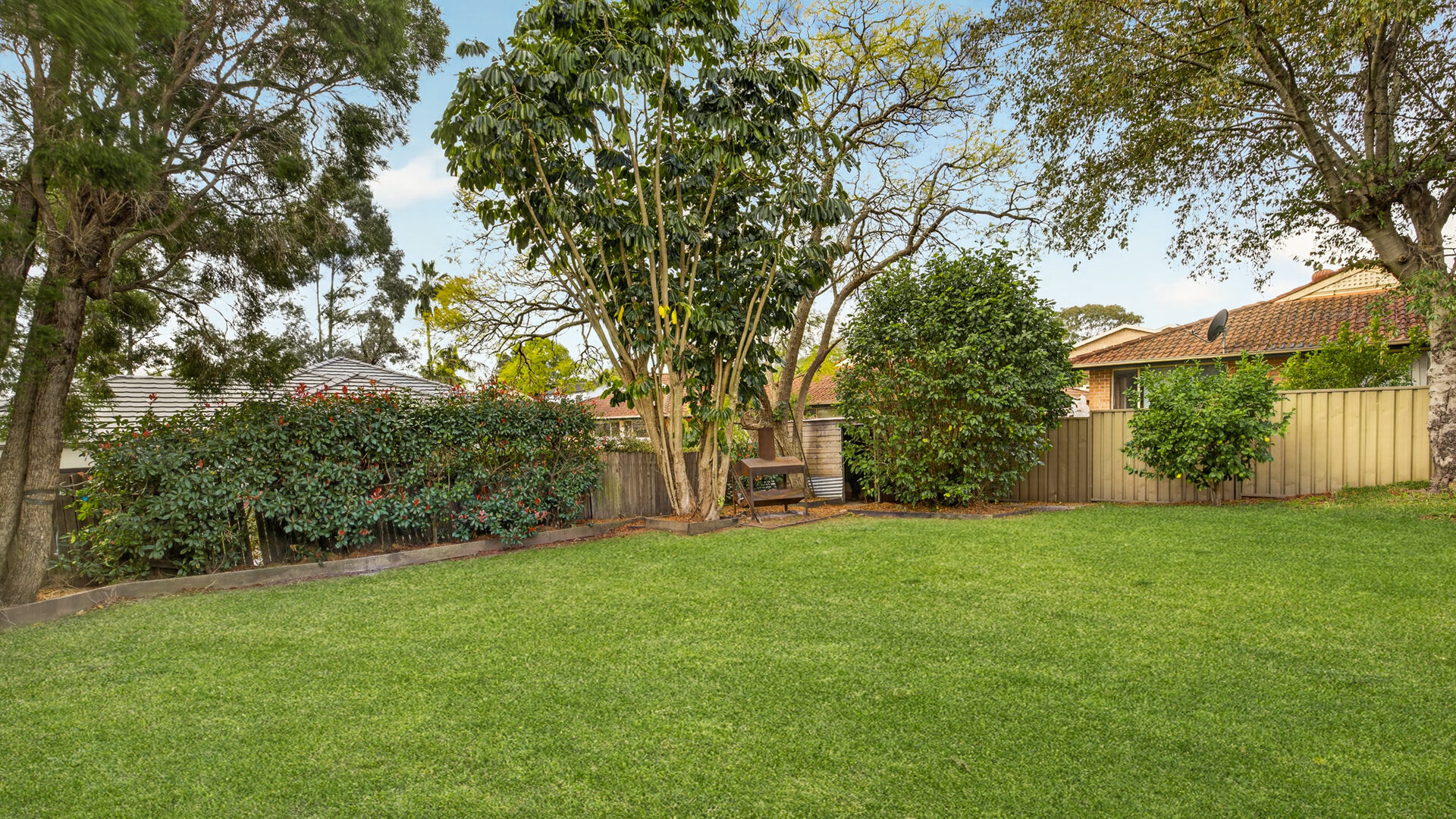 Auction - 11 Mount Street - New Property in Constitution Hill - Real Estate by Brad Panayiotou