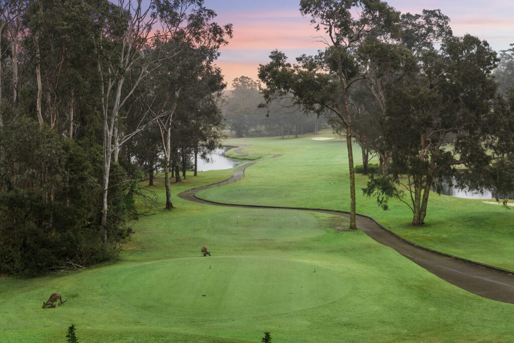For Sale - 4 Gully Forest Place - New Property in Cattai - Real Estate by Brett Humby
