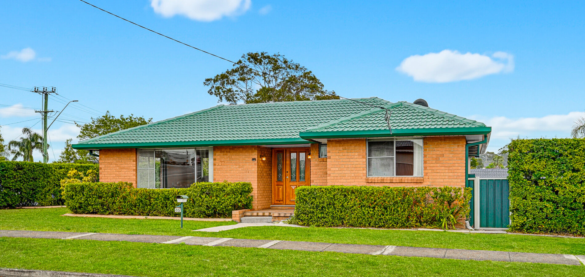 For Rent - 227 Cornelia Road - New Property in Seven Hills - Real Estate by Jason Assaf
