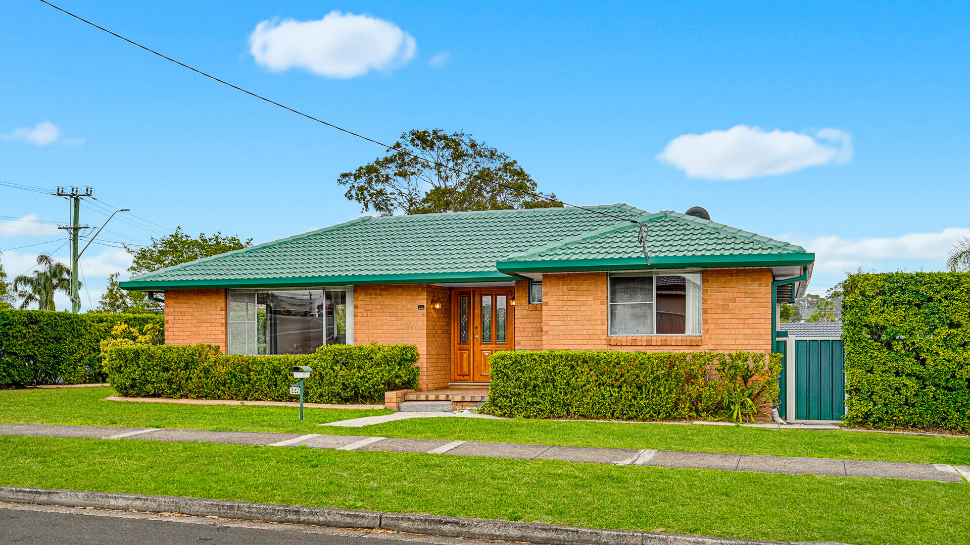 For Rent - 227 Cornelia Road - New Property in Seven Hills - Real Estate by Jason Assaf