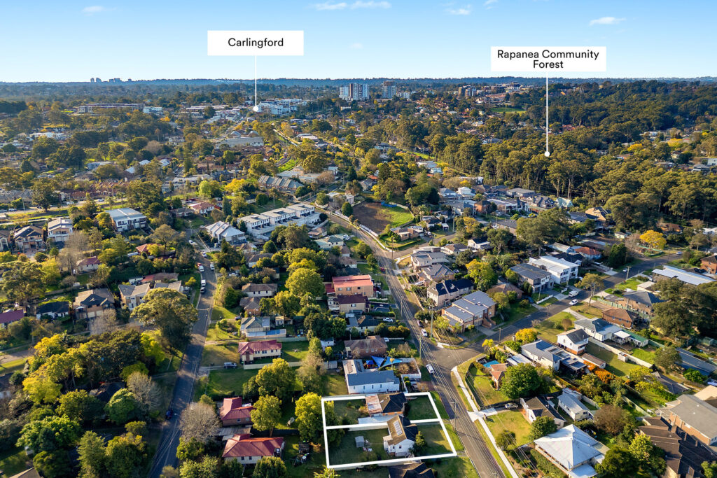 For Sale - 5 & 7 Sophie Street - New Property in Telopea - Real Estate by Rebecca Ying Li