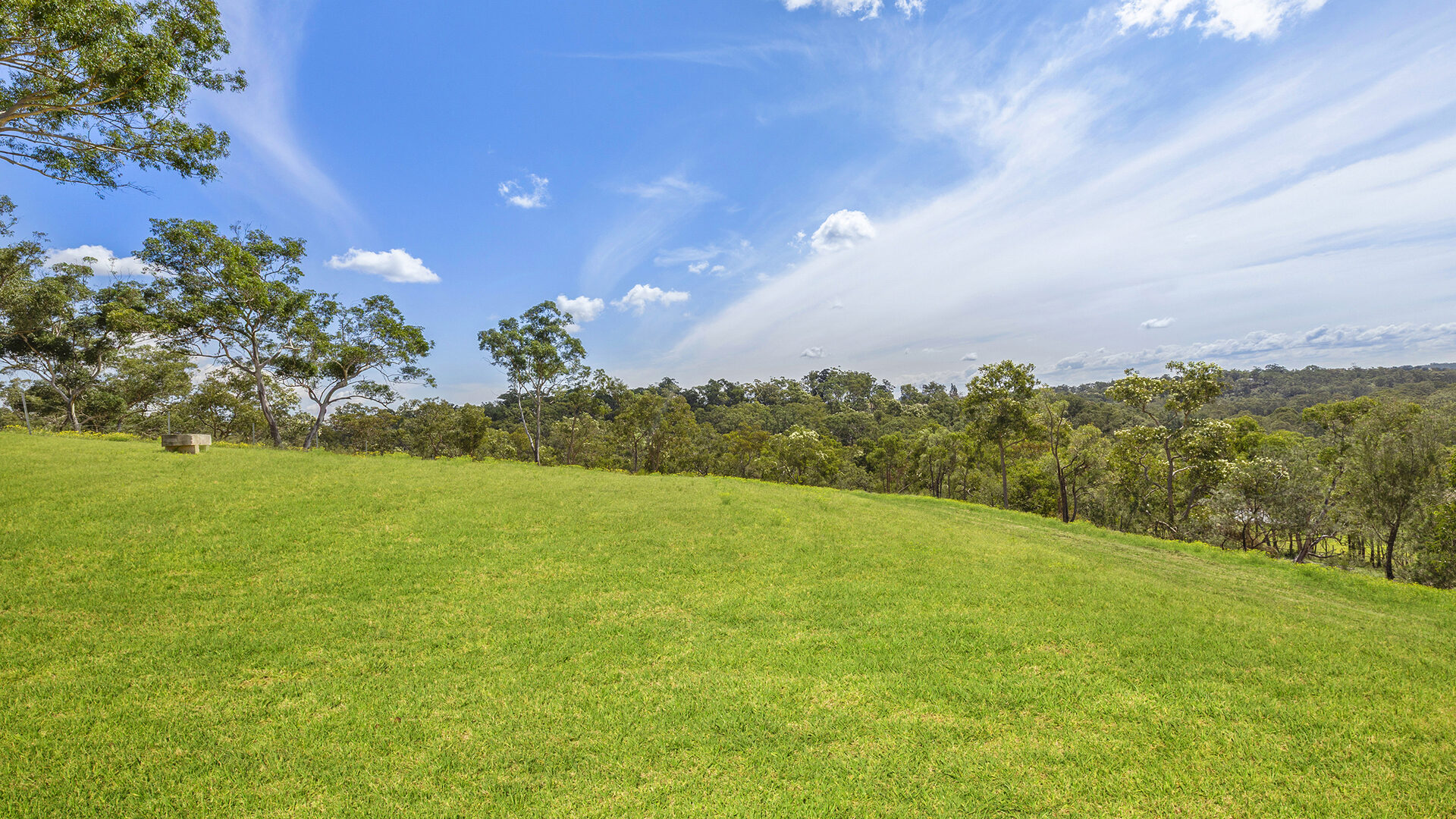 For Sale - 14 Bloodwood Place - New Property in Kenthurst - Real Estate by Louis Stapleton
