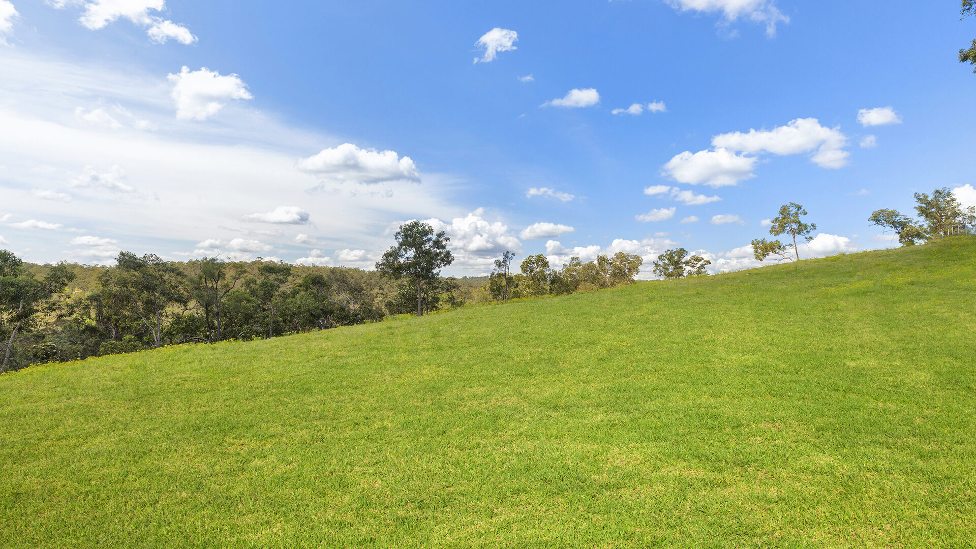 For Sale - 14 Bloodwood Place - New Property in Kenthurst - Real Estate by Louis Stapleton