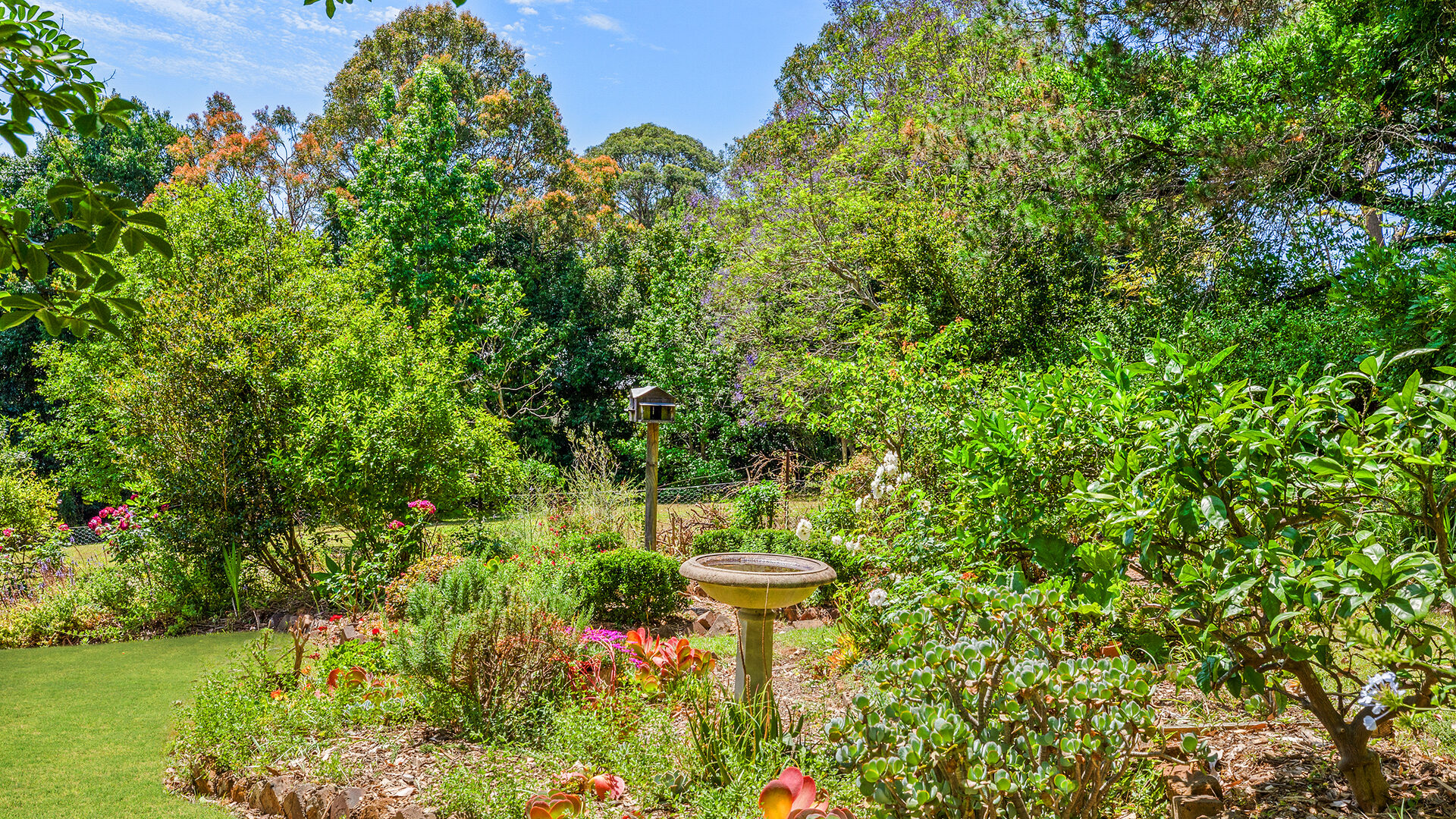 For Sale - 9-11 Radnor Road - New Property in Galston - Real Estate by Louis Stapleton