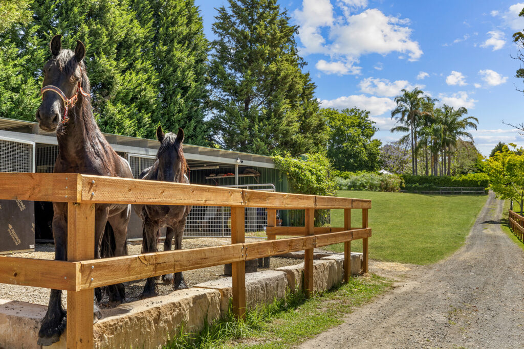 For Sale - 5 McLeod Road - New Property in Middle Dural - Real Estate by Louis Stapleton
