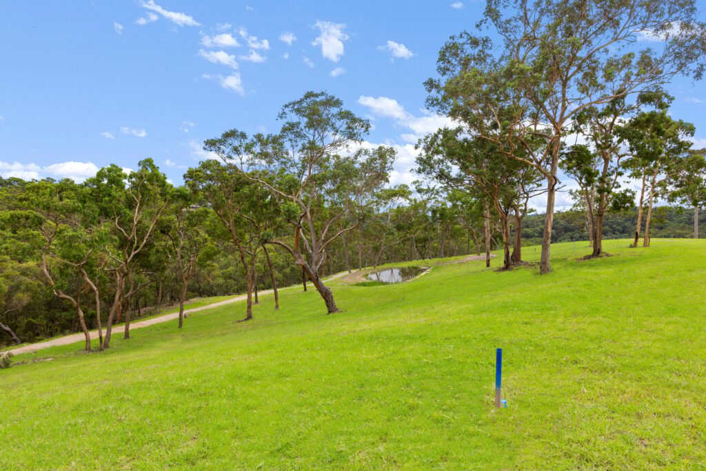Auction - 8 Bloodwood Place - New Property in Kenthurst - Real Estate by Louis Stapleton