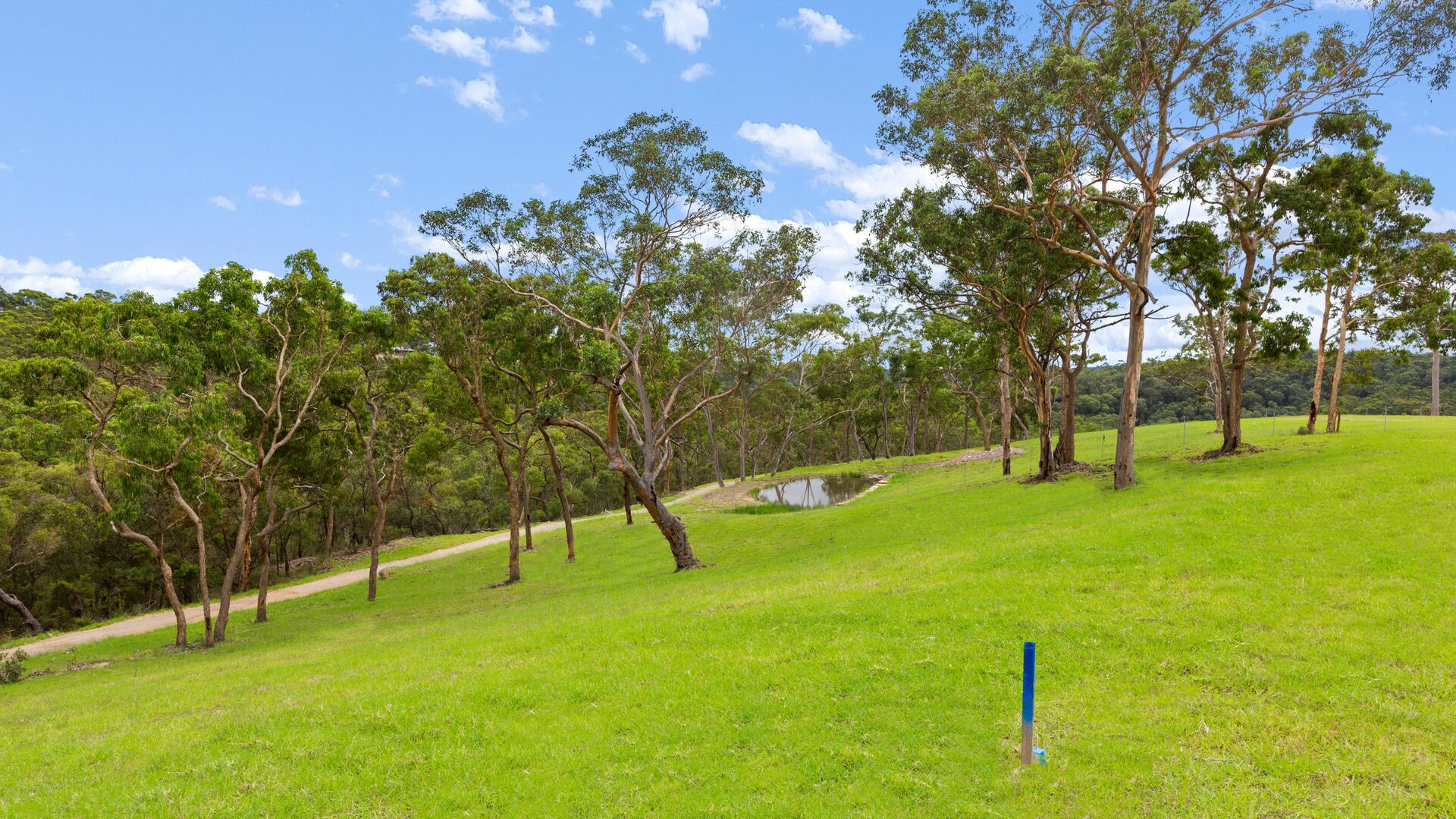 Auction - 8 Bloodwood Place - New Property in Kenthurst - Real Estate by Louis Stapleton