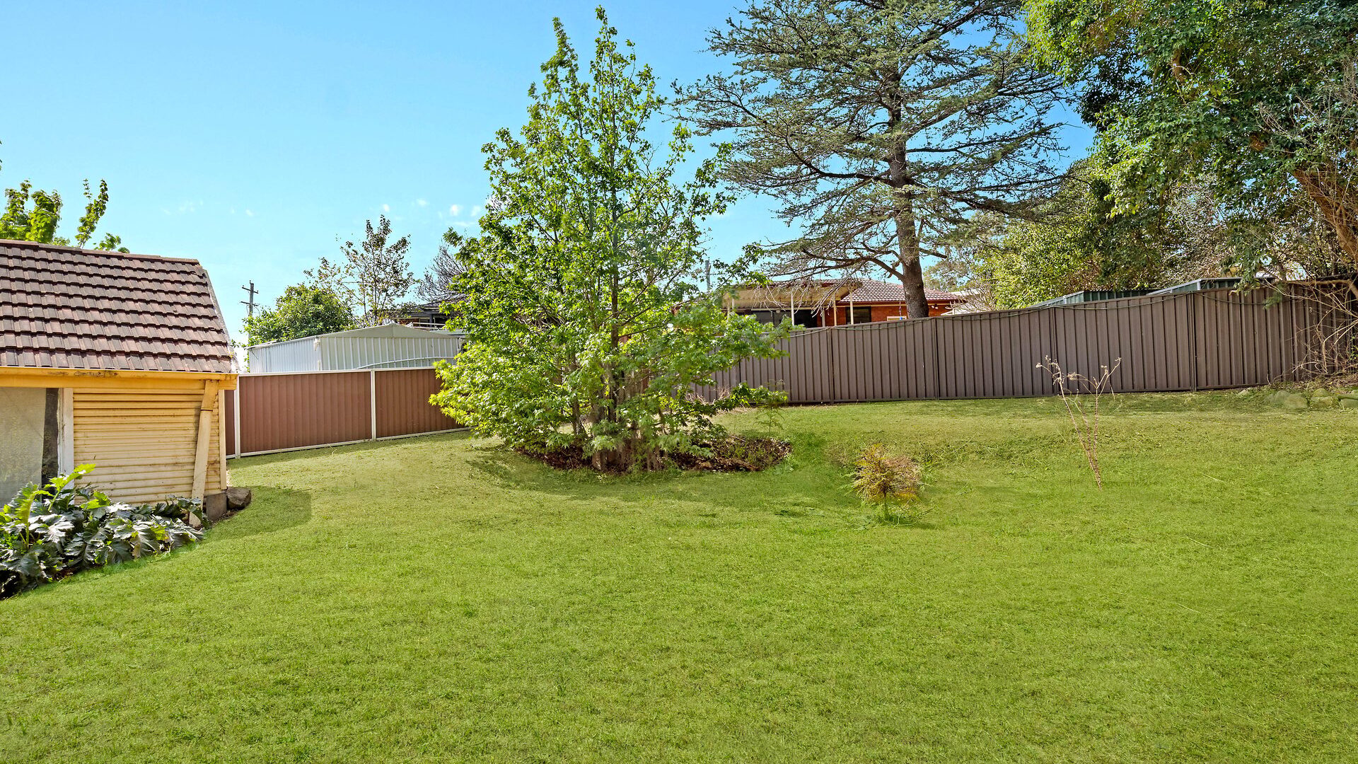 For Sale - 35 Carole Street - New Property in Seven Hills - Real Estate by Joel Hollings