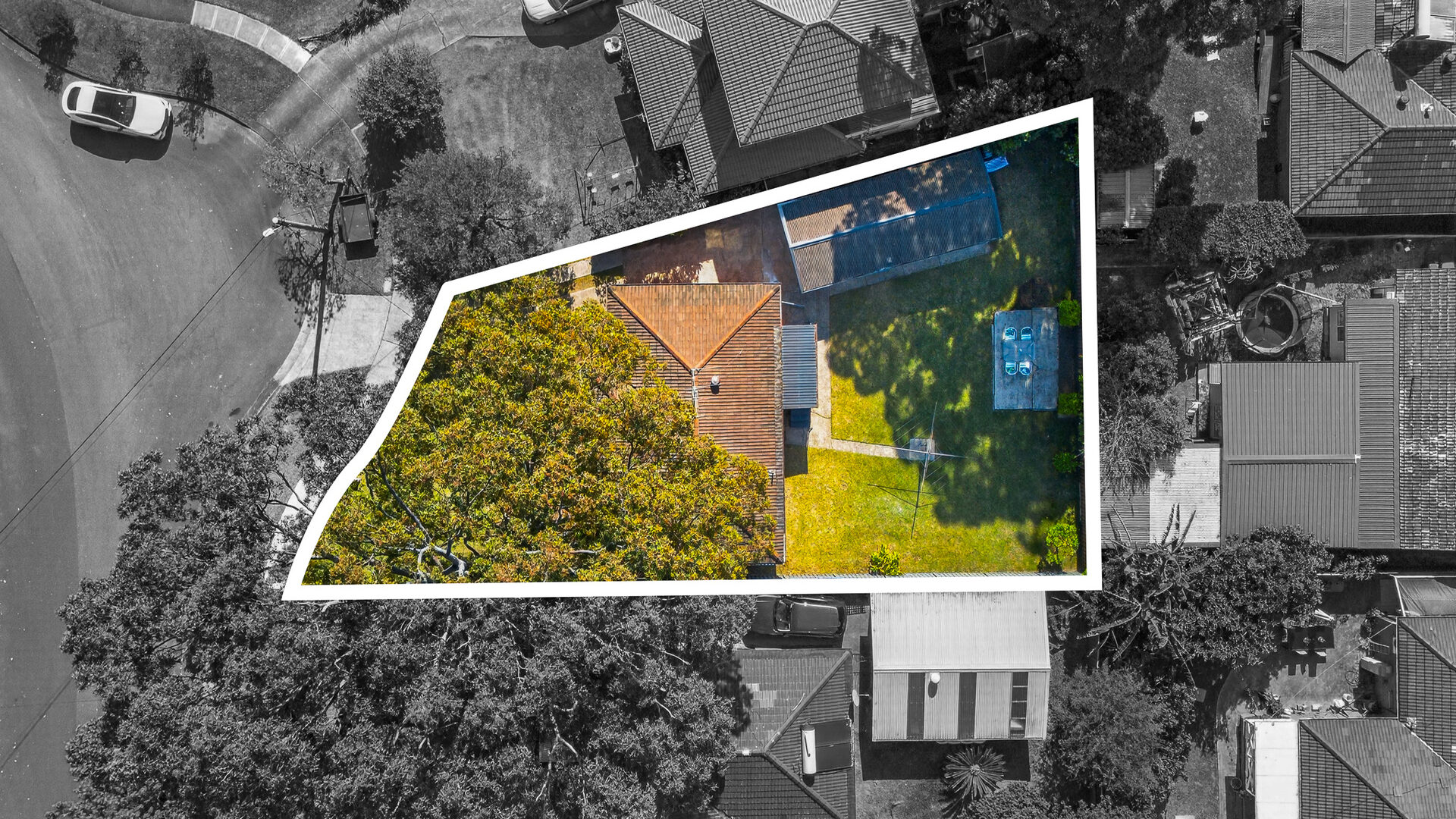 Auction - 30 Madonna Street - New Property in Winston Hills - Real Estate by Kim McChlery