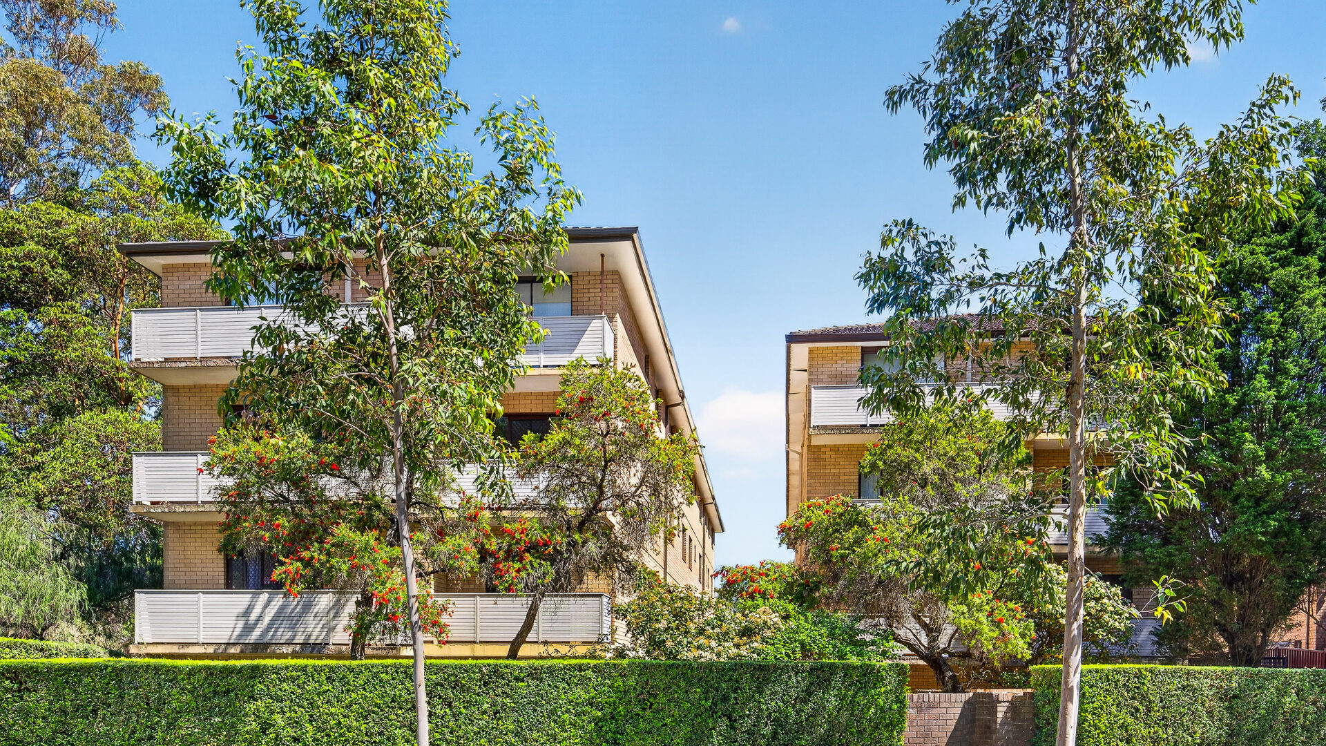 For Sale - 3/8 Galloway Street - New Property in North Parramatta - Real Estate by Stephen Mina