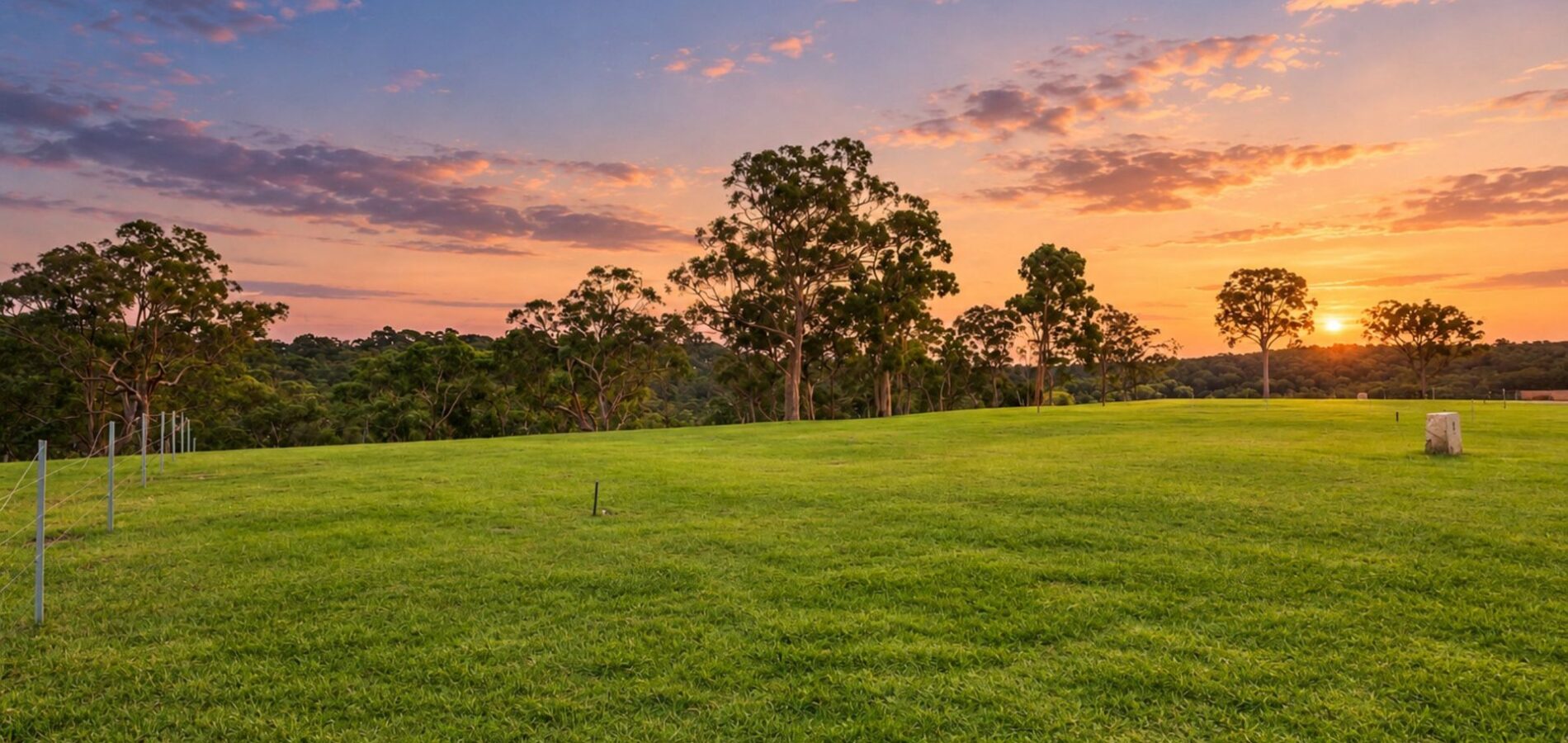 Auction - 8 Bloodwood Place - New Property in Kenthurst - Real Estate by Louis Stapleton