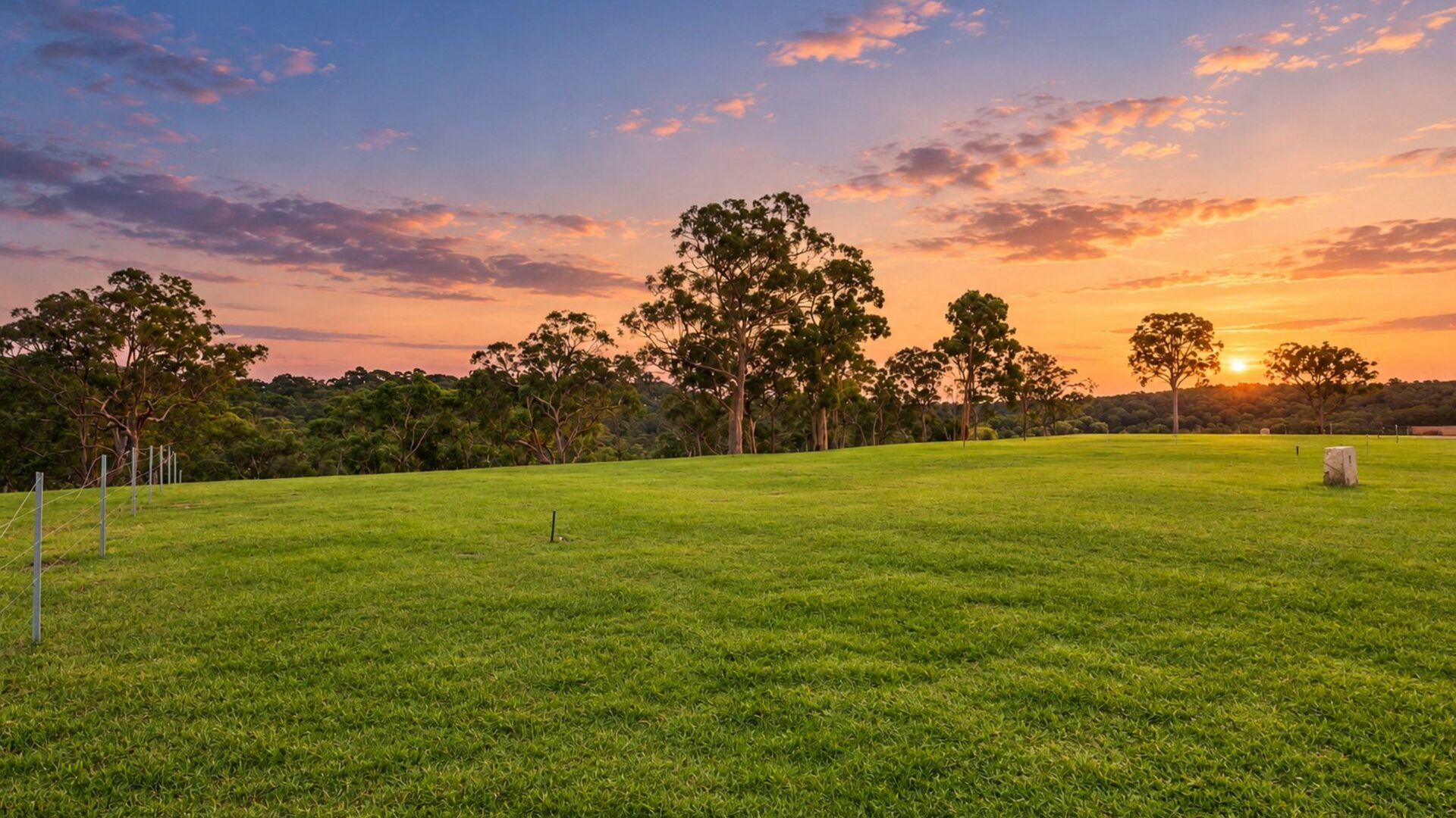 Auction - 8 Bloodwood Place - New Property in Kenthurst - Real Estate by Louis Stapleton